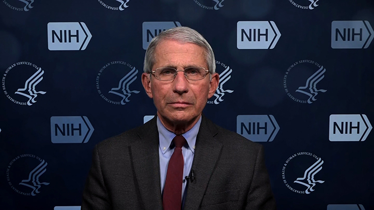 Dr. Anthony Fauci, head of the National Institute of Allergy and Infectious Diseases.