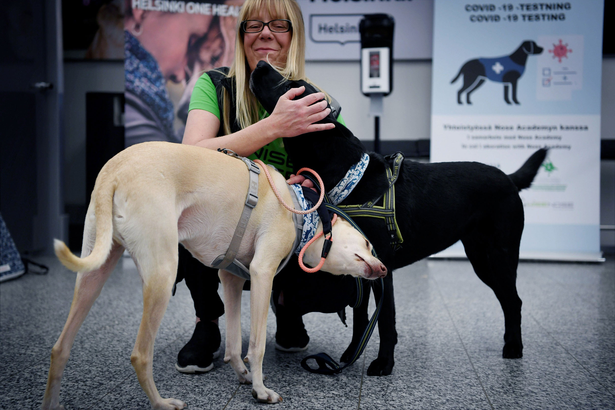 Sniffer dogs react with trainer Susanna Paavilainen at the Helsinki airport in Vantaa, Finland, on Tuesday, September 22, 2020. 