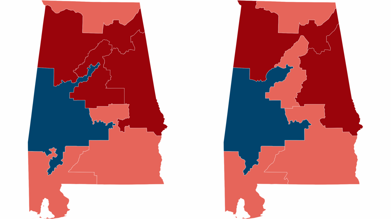 Here's What You Need To Know About Georgia's Runoff Elections