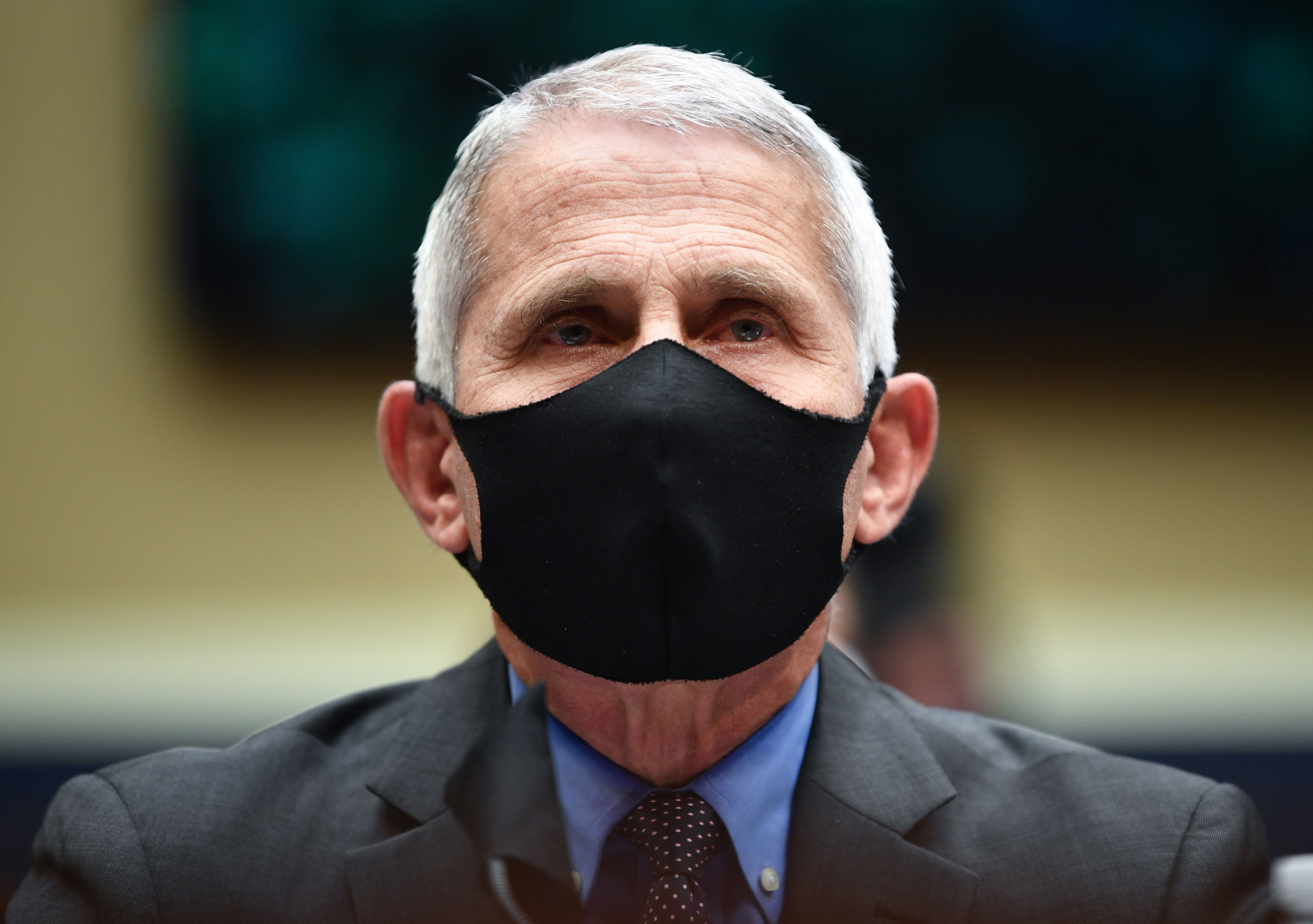 Dr. Anthony Fauci testifies in Washington, DC, on June 23.