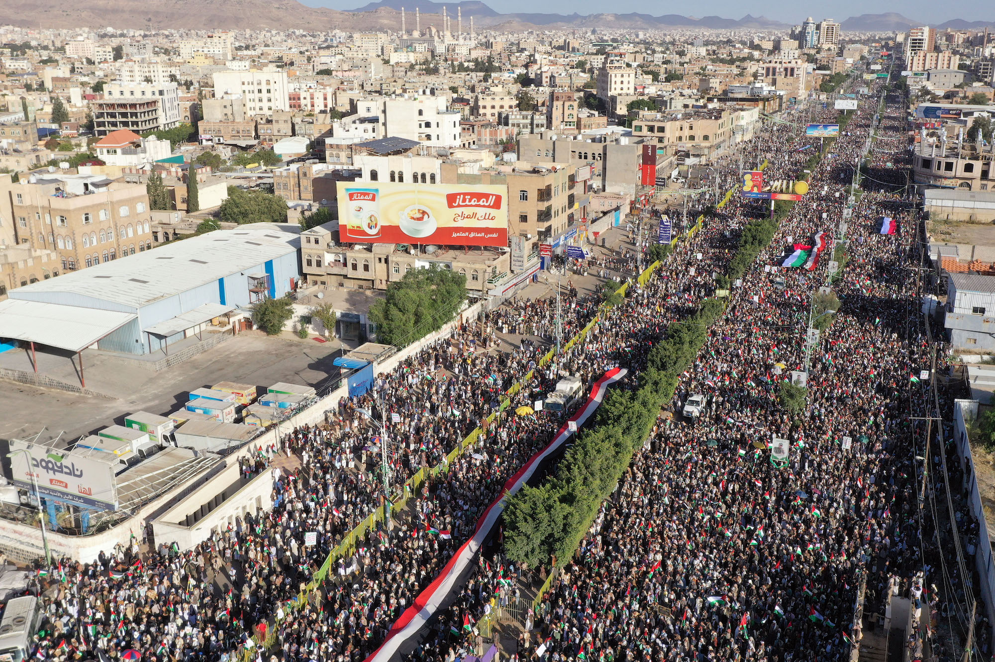 Une vue aérienne de personnes brandissant des banderoles et des drapeaux lors d’une manifestation pro-palestinienne vendredi.