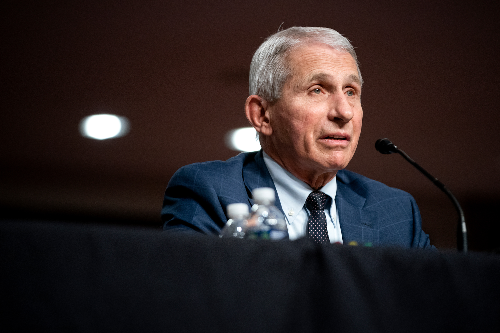 Dr. Anthony Fauci testifies at a Senate Health, Education, Labor and Pensions Committee hearing on January 11, in Washington, DC. 