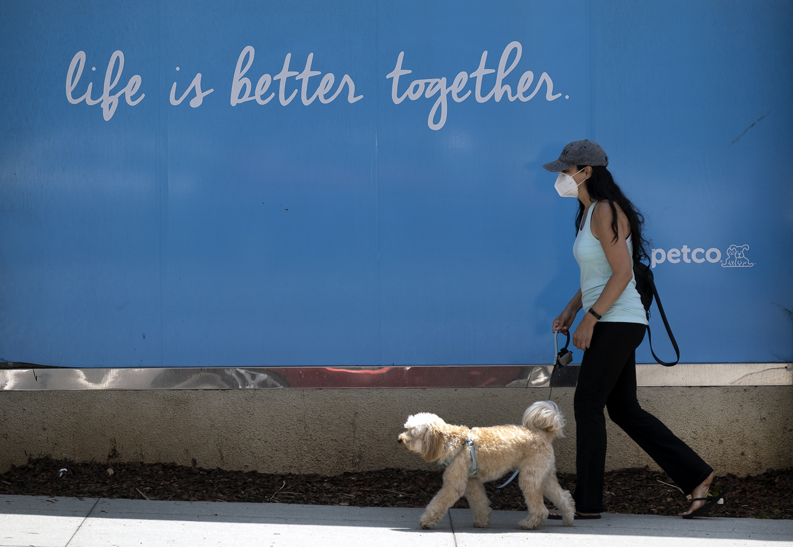 A woman walks her dog past a Petco store for animal supplies in a popular shopping area in Santa Monica, Calif. in May 2020.