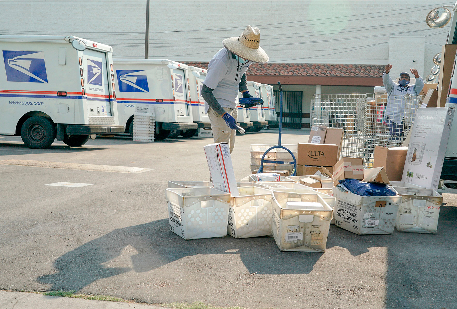 Sort load. Postal worker.