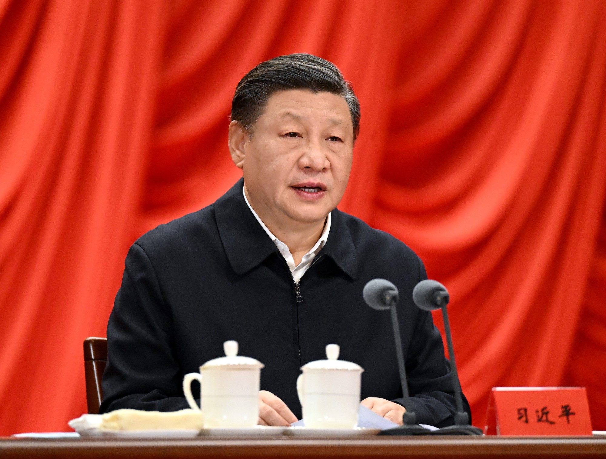 Xi Jinping addresses an academic conference on February 7.