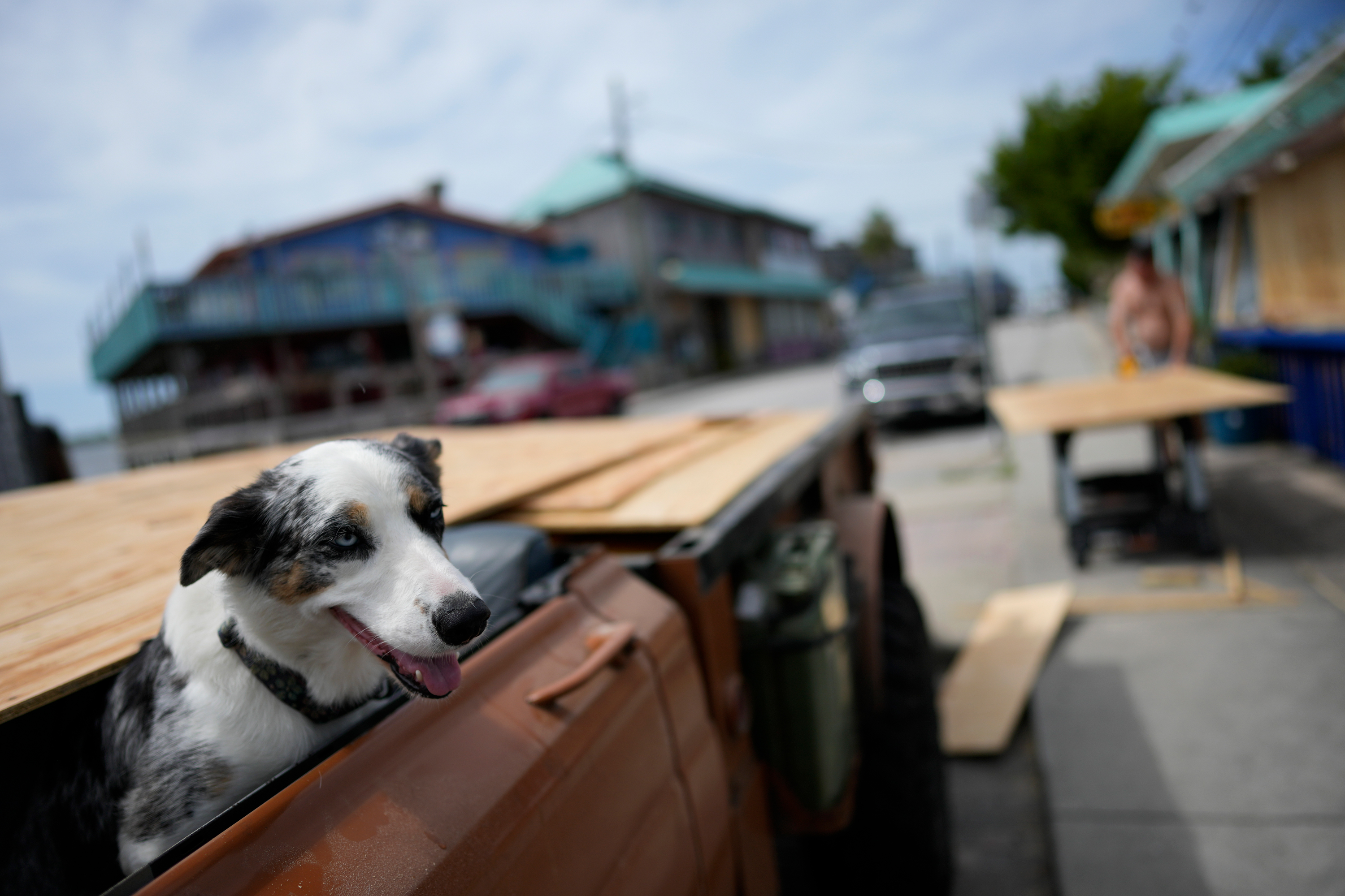 Jeff Wigsten, right, cuts plywood to help cover a business' windows as his dog Blue waits in his car, ahead of the expected arrival of Hurricane Idalia, on August 29, in Cedar Key, Florida.