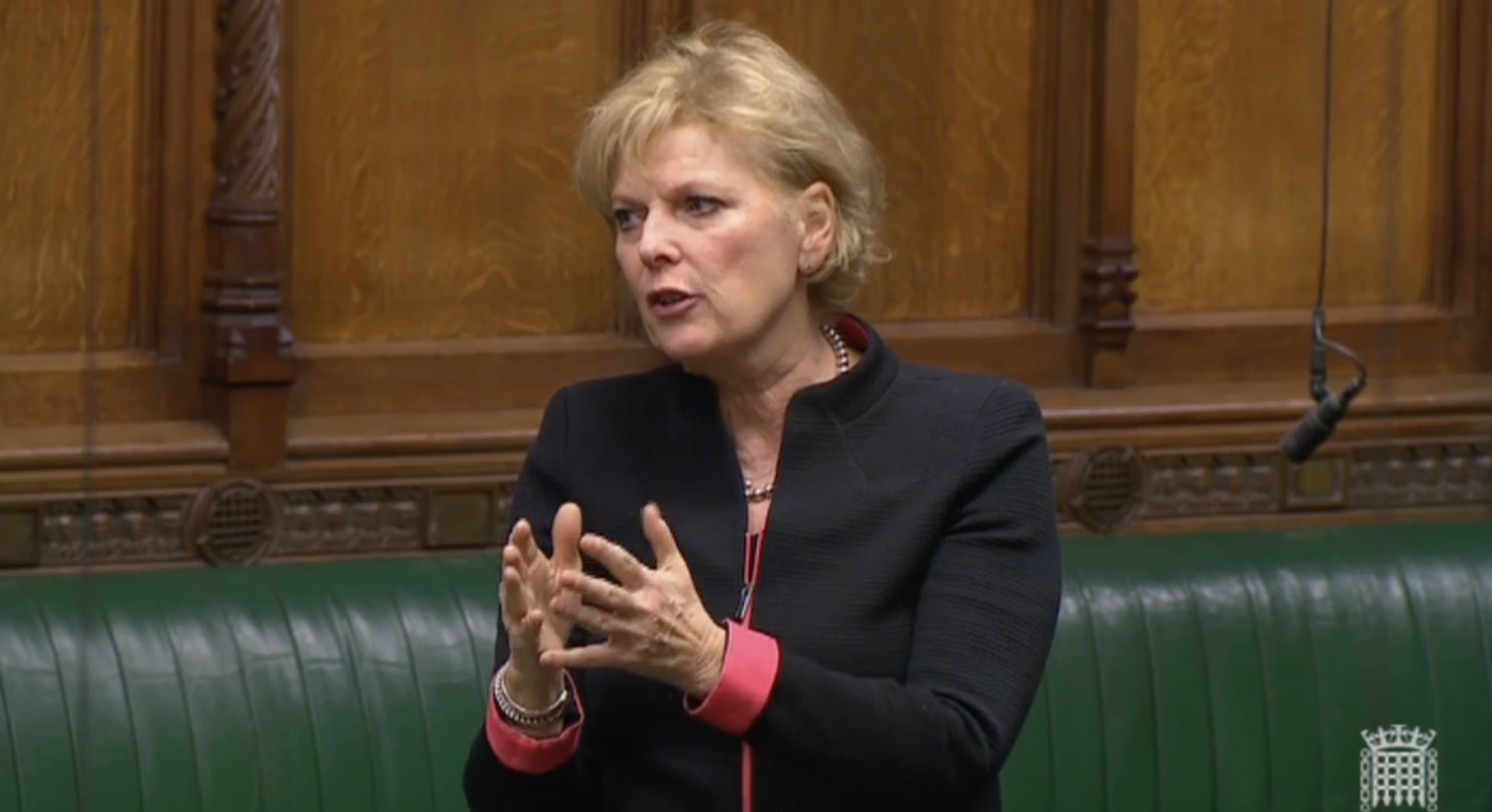 Anna Soubry says that lawmakers must take control of the Brexit process.
