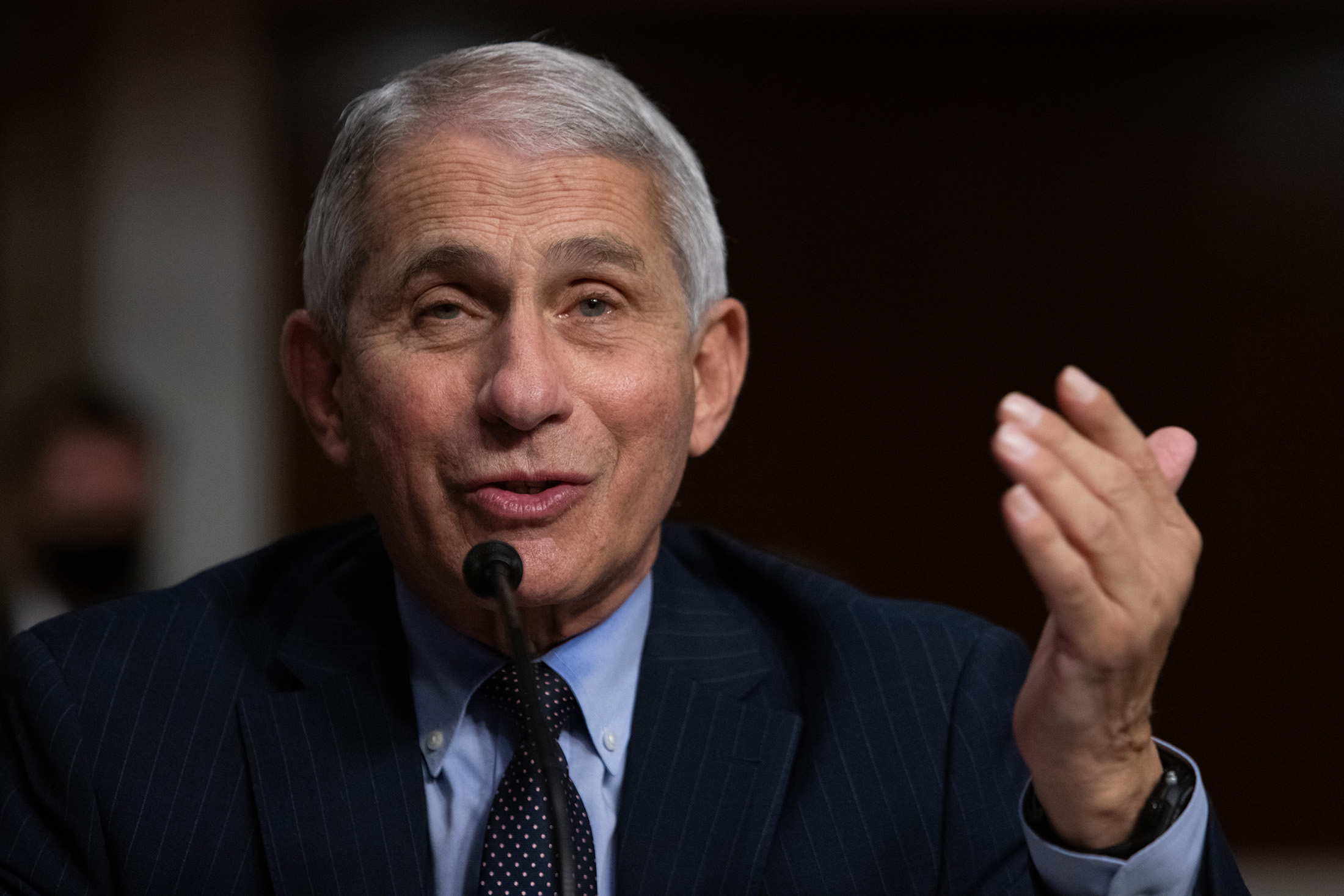 Anthony Fauci, director of the National Institute of Allergy and Infectious Diseases, speaks during a  committee hearing in Washington, D.C, on Wednesday, September 23. 