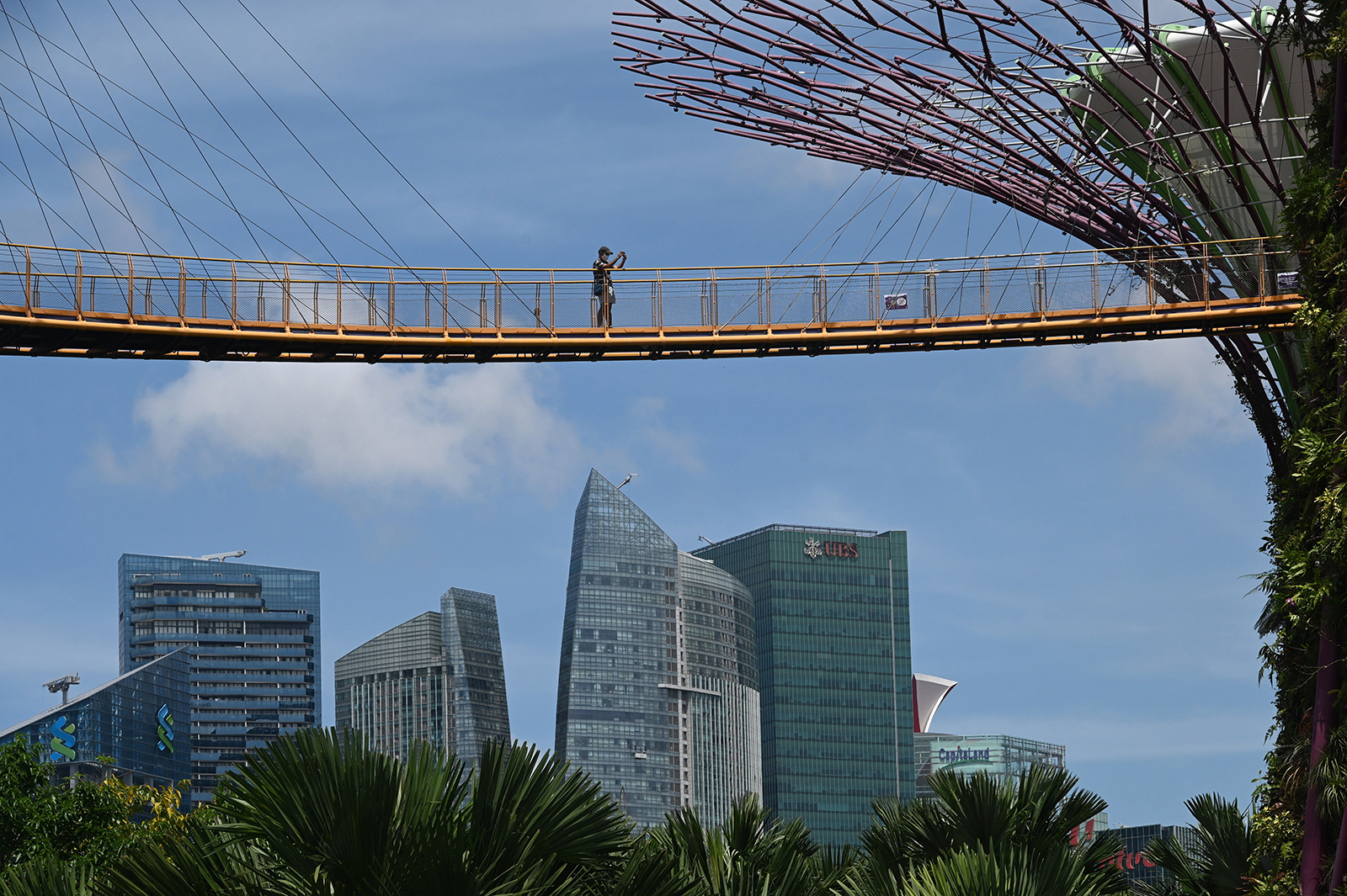 A man stands on the Supertree Grove skyway at Gardens by the Bay in Singapore, on September 9.