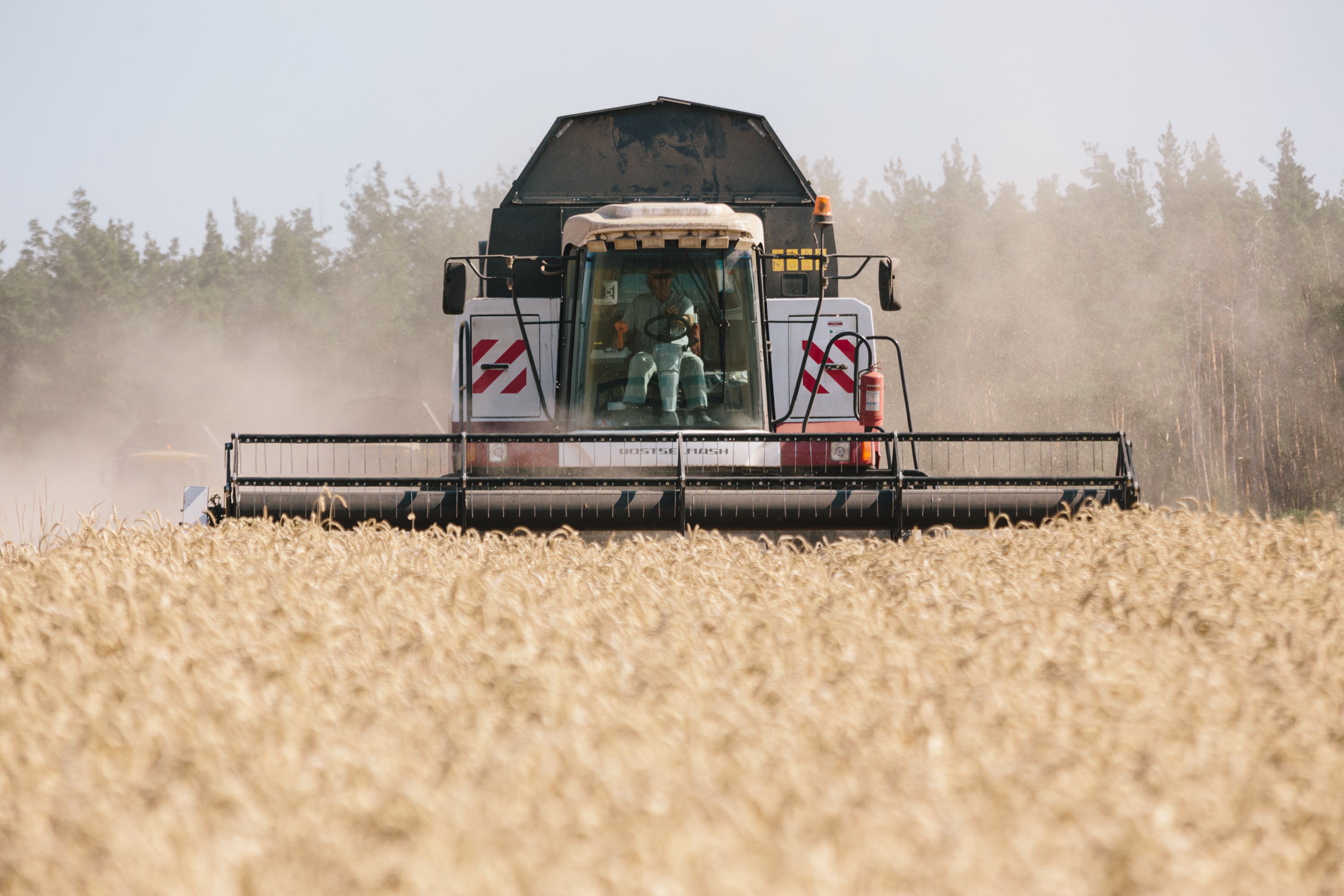 Harvesting wheat in the fields of the Novovodolazhsky district of Kharkiv, Ukraine, on July 25, 2017. 