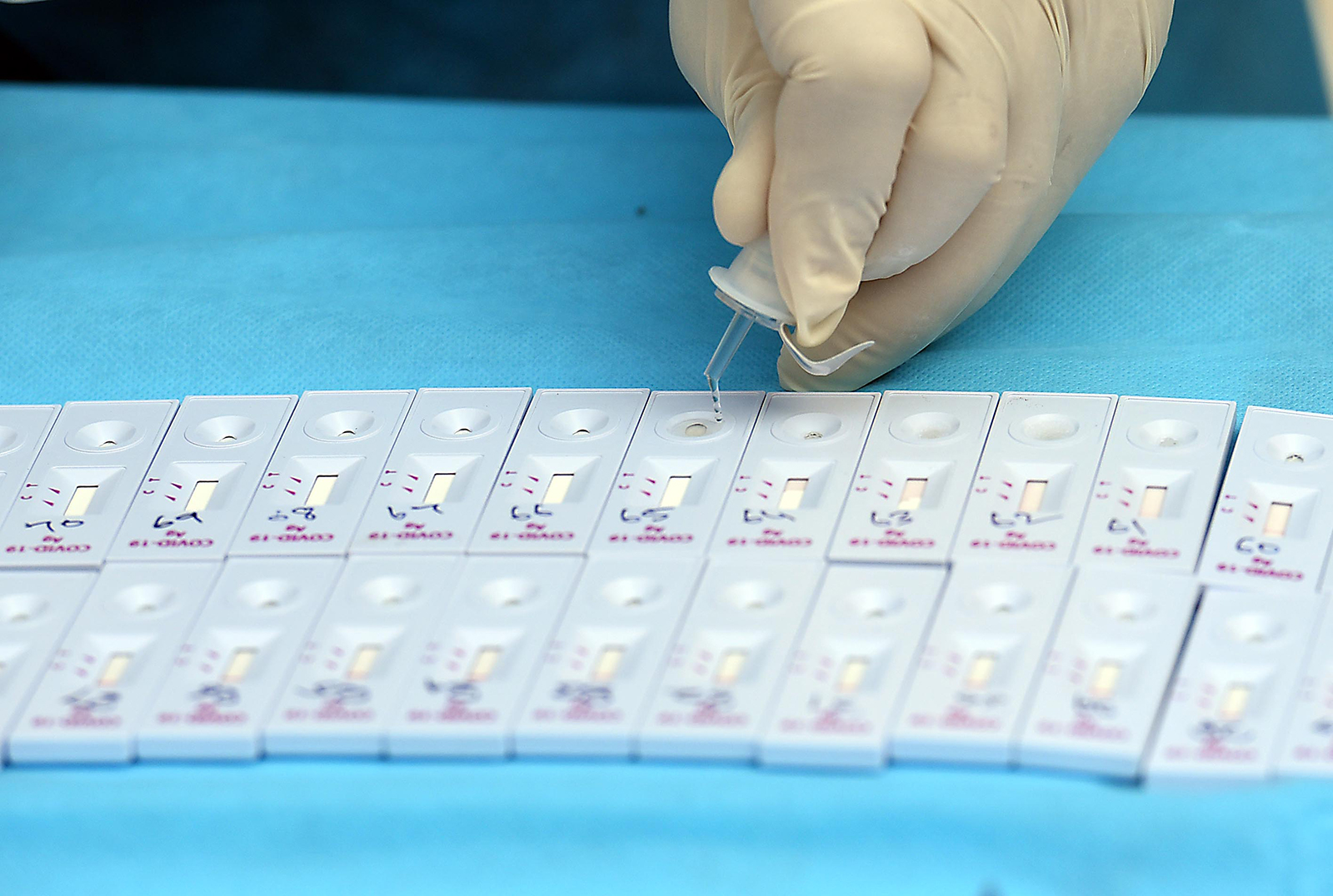 A health worker works with test slides for coronavirus testing at a government office, in New Delhi, on October 27.