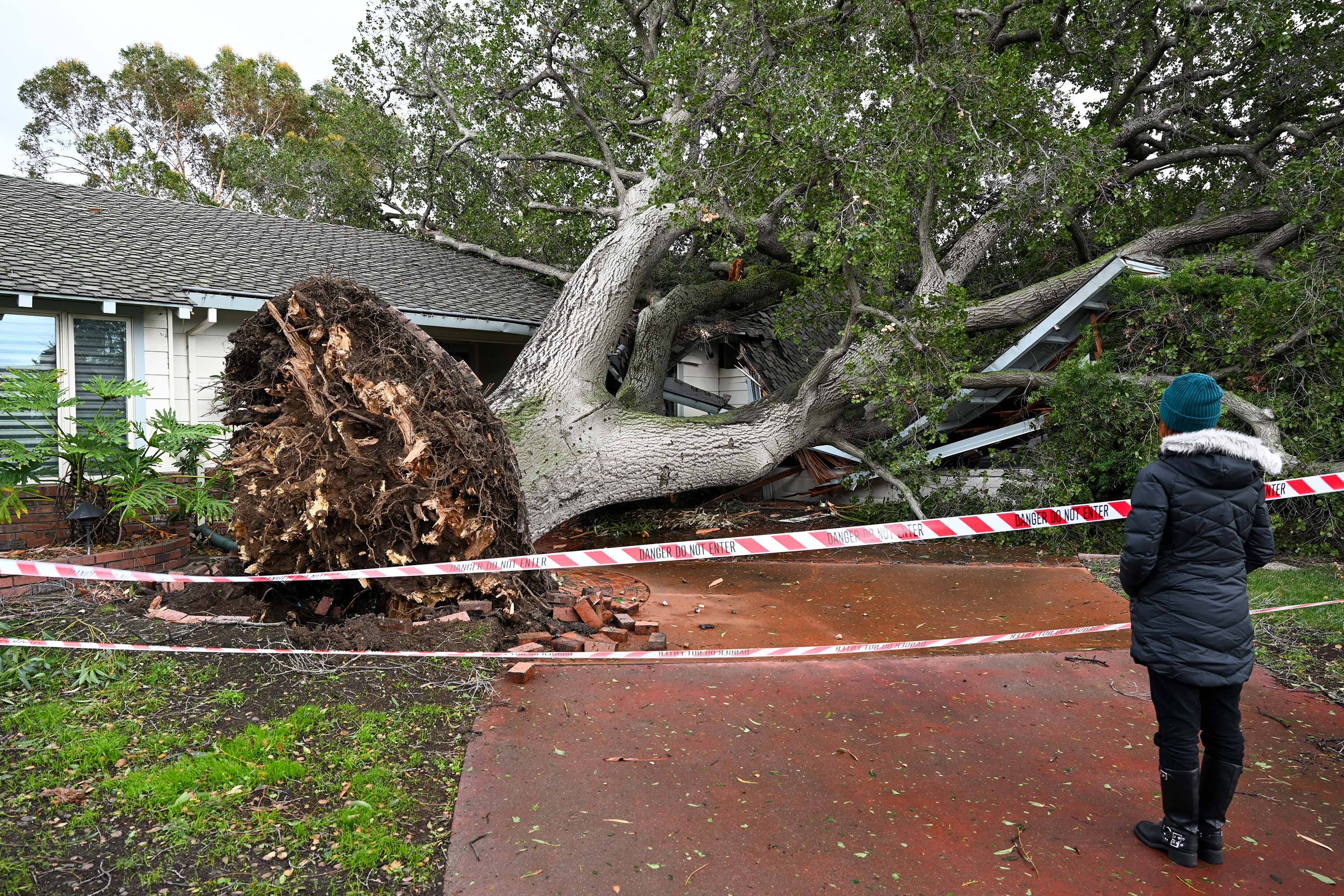 Damage is seen after a tree fell on a house in San Jose, California, on February 4.