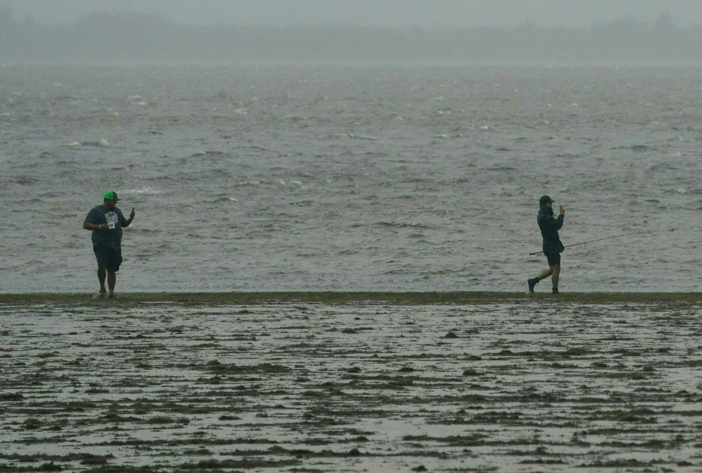 People walk along mudflats as the tide recedes from Tampa Bay.