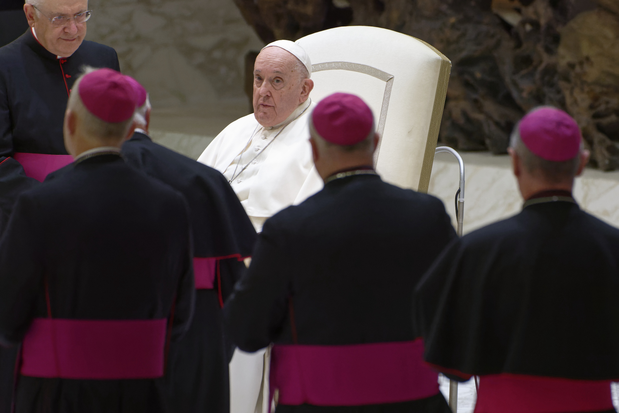 Pope Francis is surrounded by bishops at the end of his weekly general audience at the Vatican on November 29.