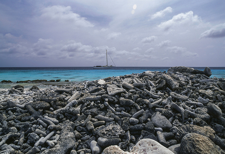 Coral Beach, Hilma Hooker, along the southwest coast of Bonaire.