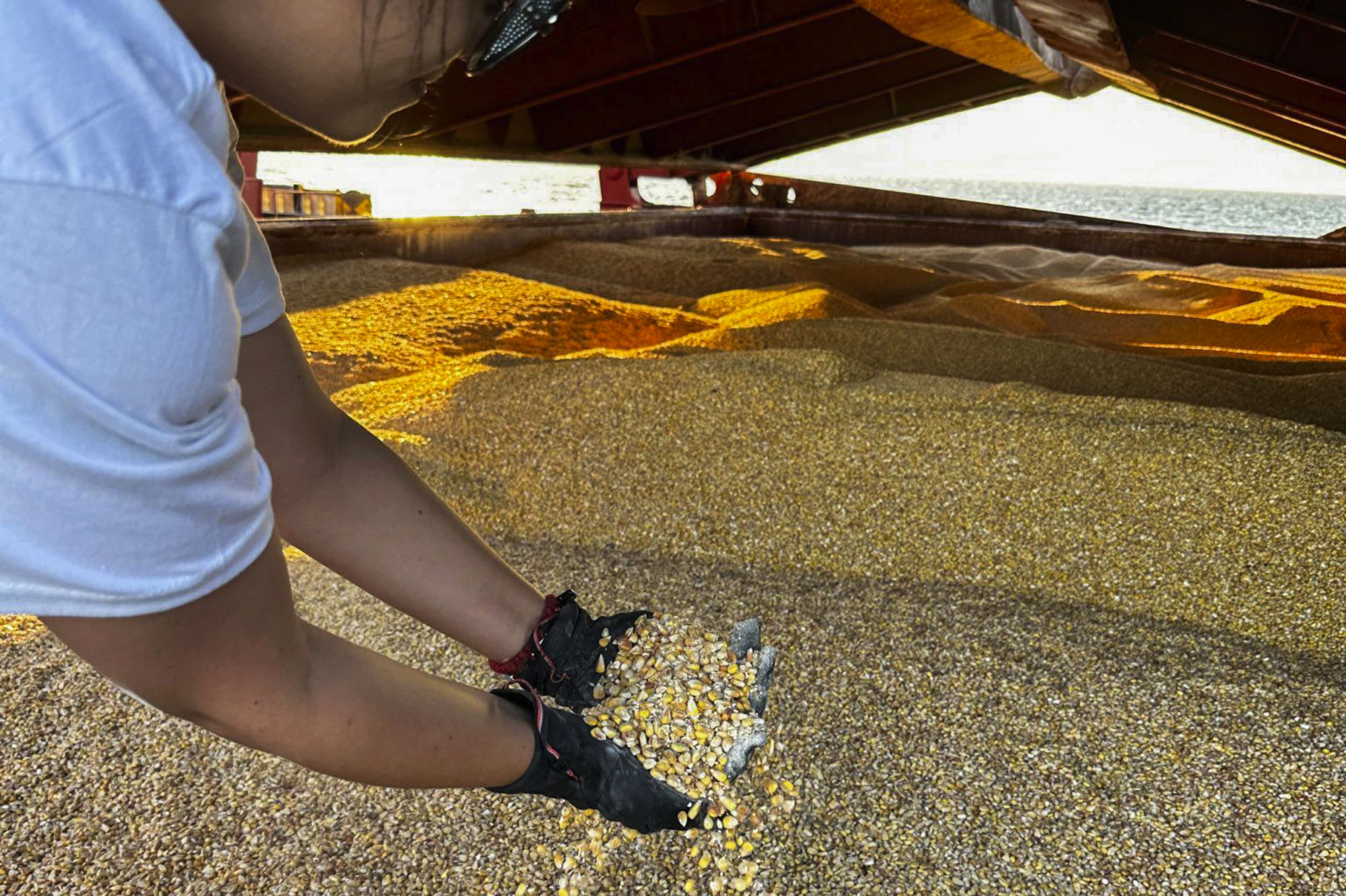 A United Nations official carries out an inspection of grain aboard the cargo ship TQ Samsun, which traveled from Odesa, Ukraine, while the ship lays anchored in the Black Sea near Istanbul, Turkey, on Monday, July 17. 