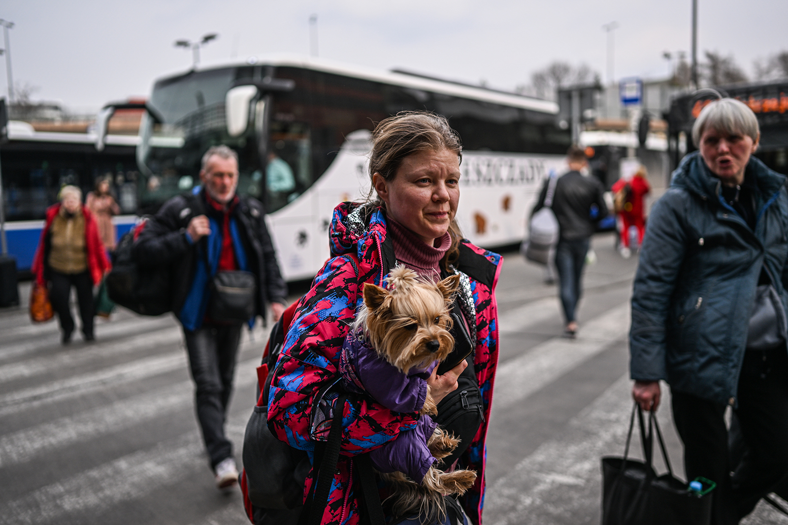 逃离乌克兰的人们于 3 月 29 日乘坐公共汽车从普热梅希尔抵达波兰克拉科夫。