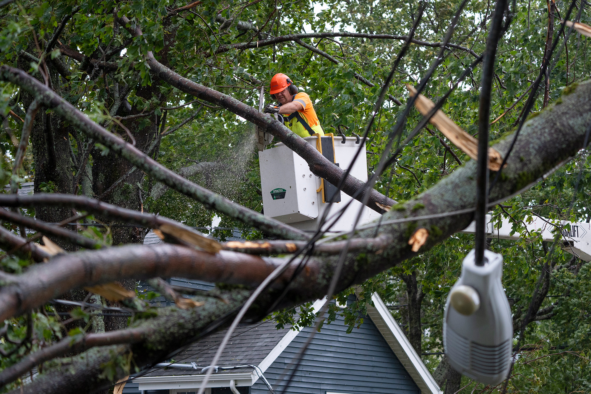 A worker clears fallen trees and downed power lines in Halifax, Nova Scotia, on Saturday.