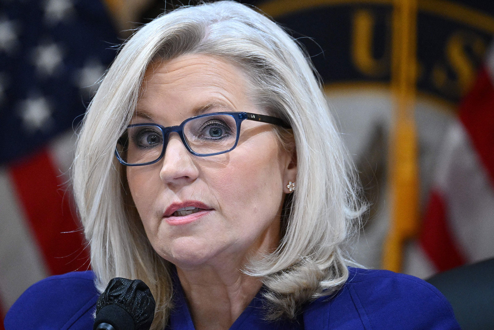 House select committee vice chair Rep. Liz Cheney speaks during the public meeting on Monday, December 19. 