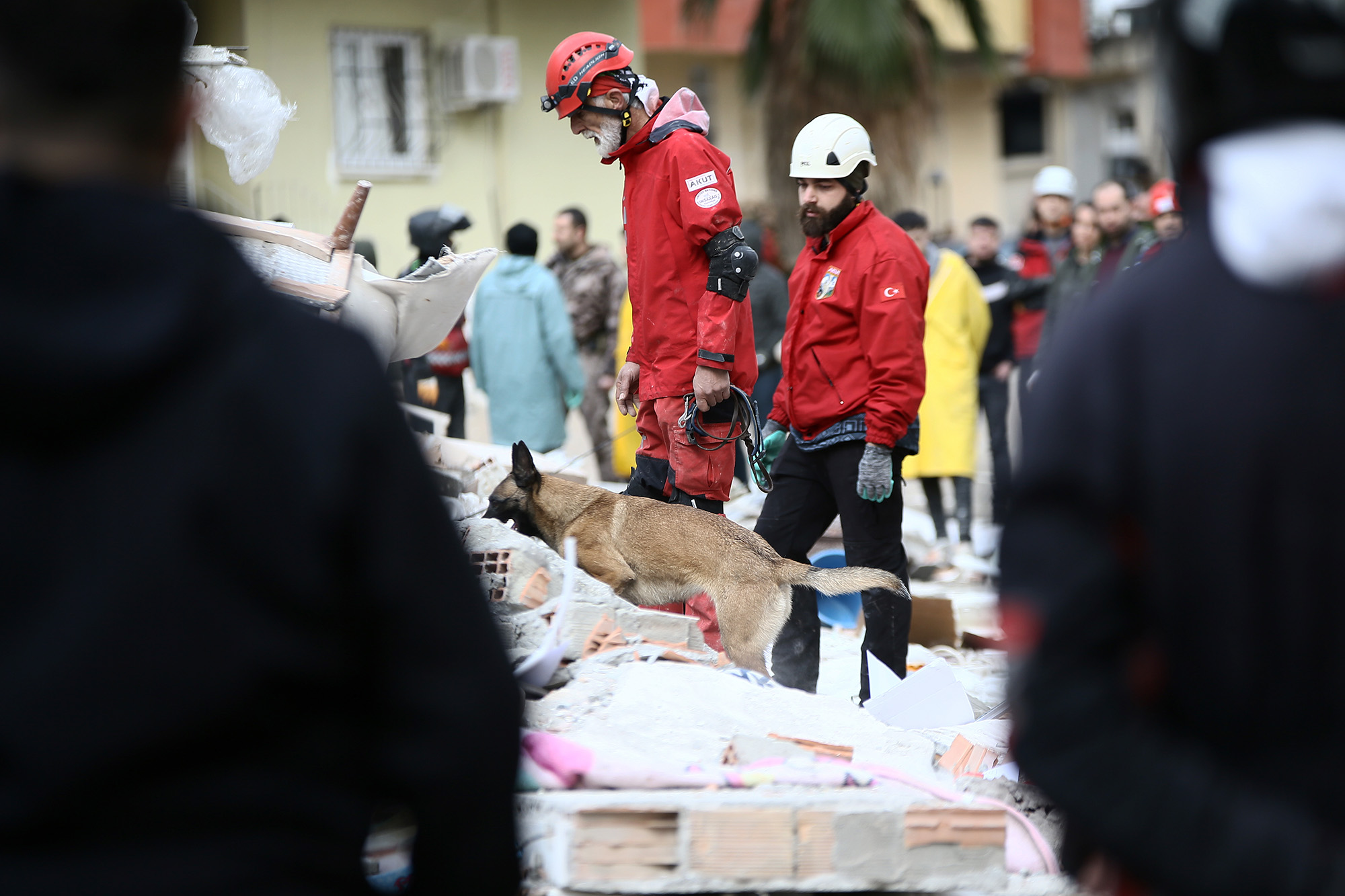 Search and rescue efforts continue on collapsed 14-store-building in Adana, Turkey, on February 6.