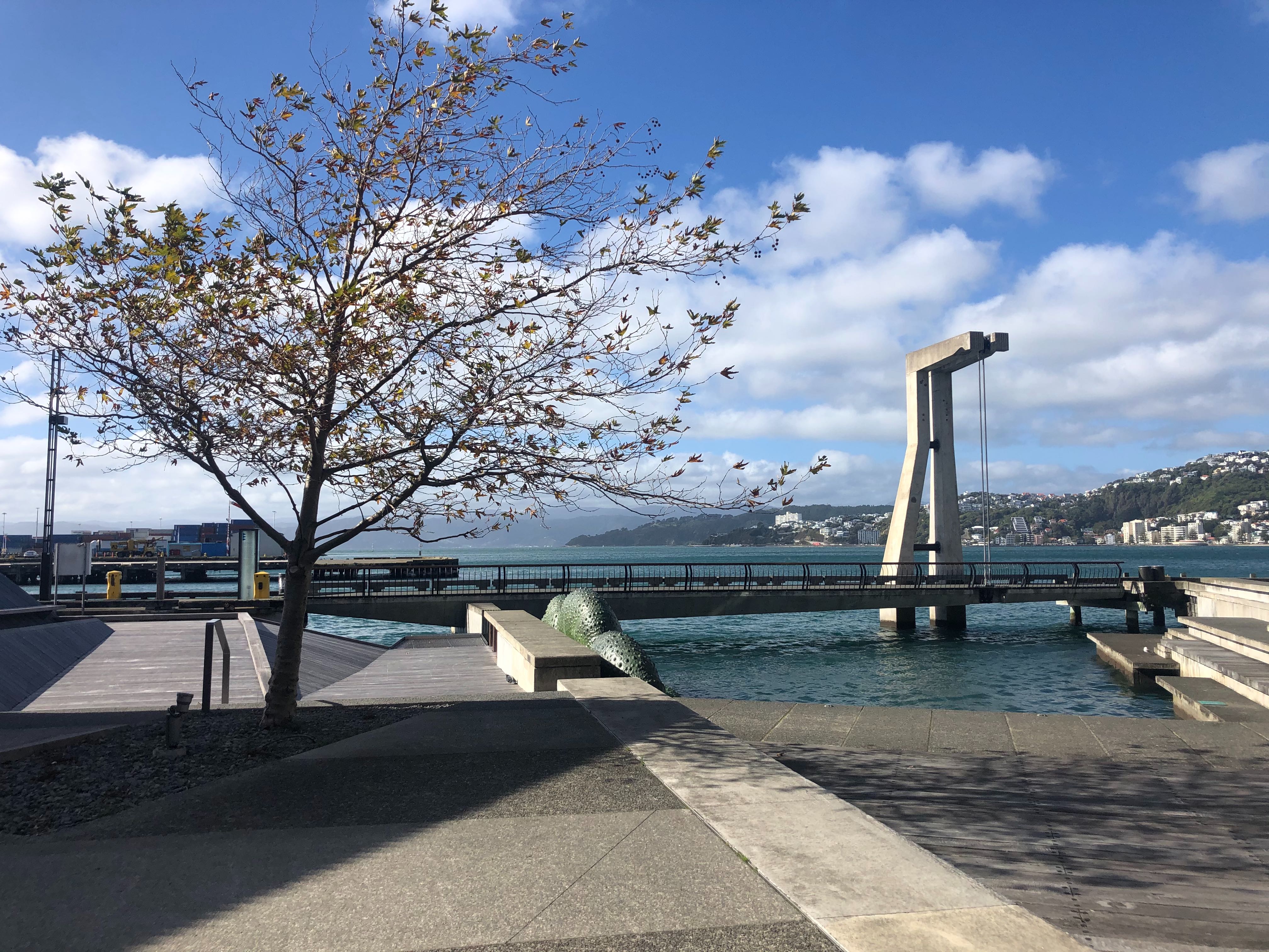 A near deserted waterfront on Thursday morning in New Zealand's capital, Wellington, following an easing of lockdown restrictions in the country.