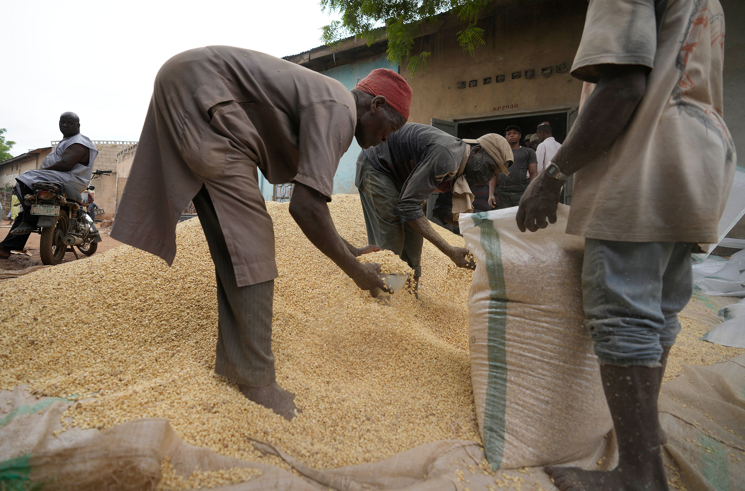 Men bag grain to sell at Dawanau International Market in Kano Nigeria, Friday, July 14, 2023. By halting a landmark deal that allowed Ukrainian grain exports via the Black Sea, Russian President Vladimir Putin has taken a risky gamble that could badly damage Moscow's relations with many of its partners that have remained neutral or even supportive of the Kremlin amid the war in Ukraine. 