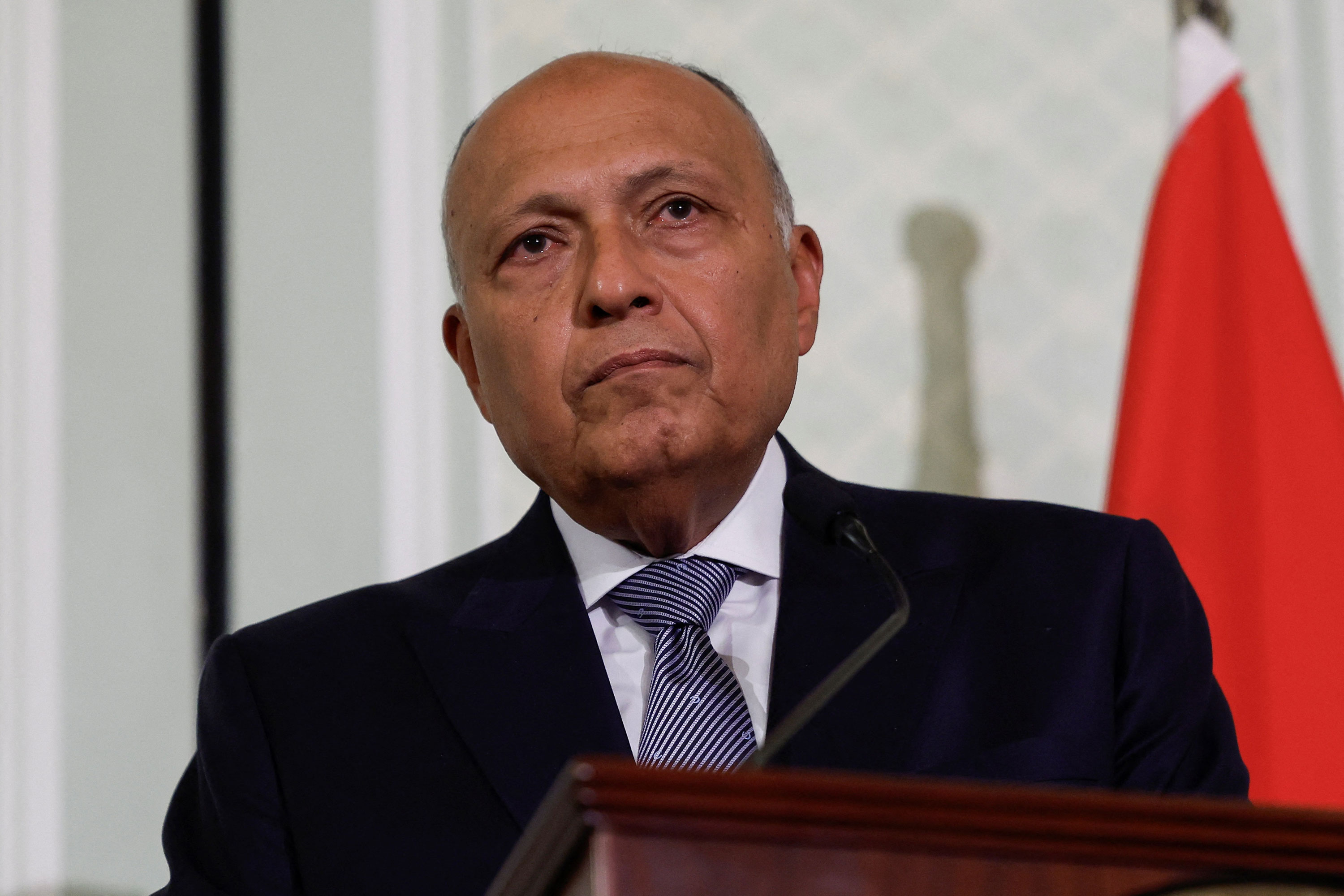 Egyptian Foreign Minister Sameh Shoukry attends a press conference in Cairo on March 21. 