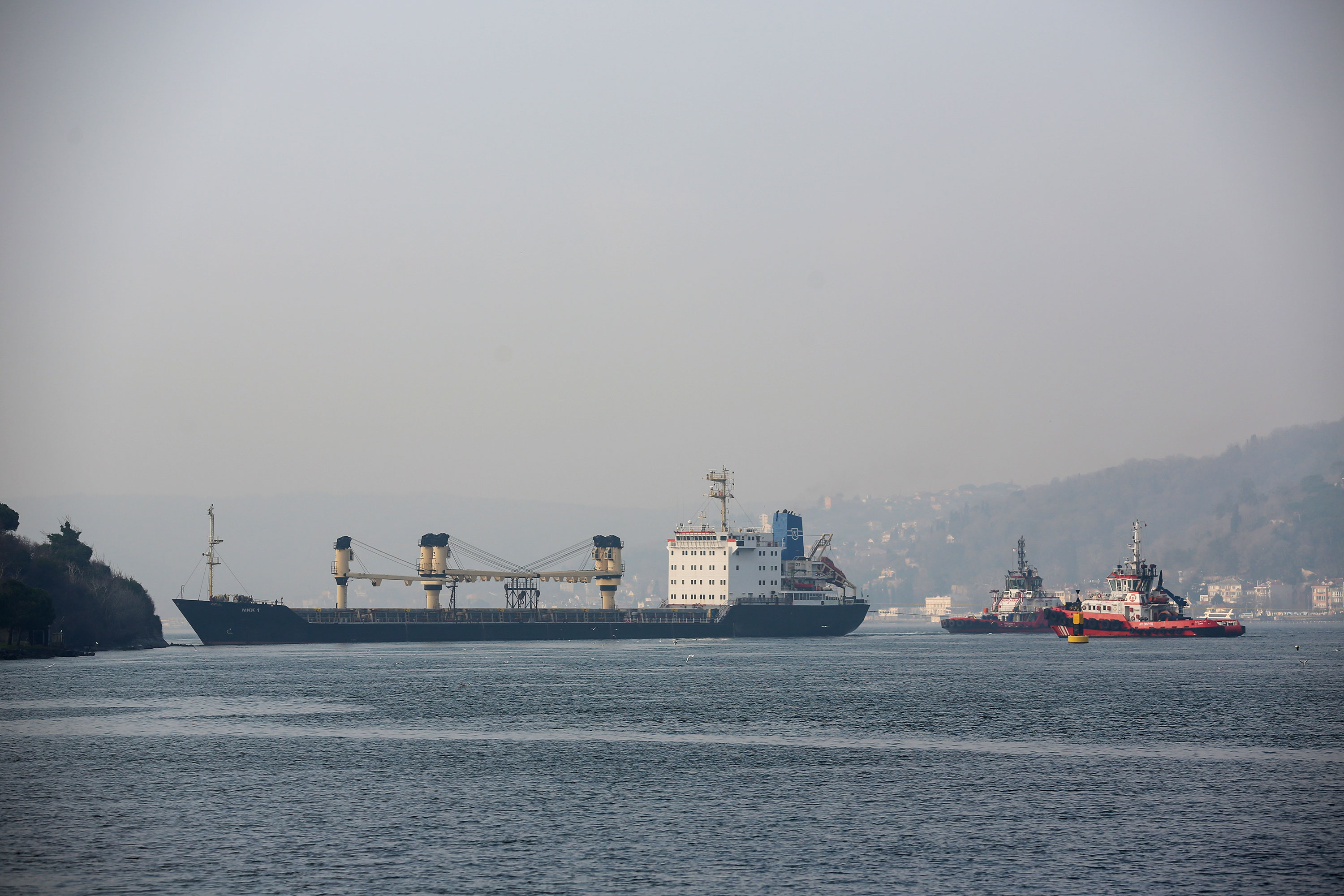 Ship traffic in the Bosphorus was suspended due to the grounding of the 142 m-long bulk carrier named MKK-1, which was sailing from Ukraine to Istanbul on January 16 in Istanbul, Turkey. 
