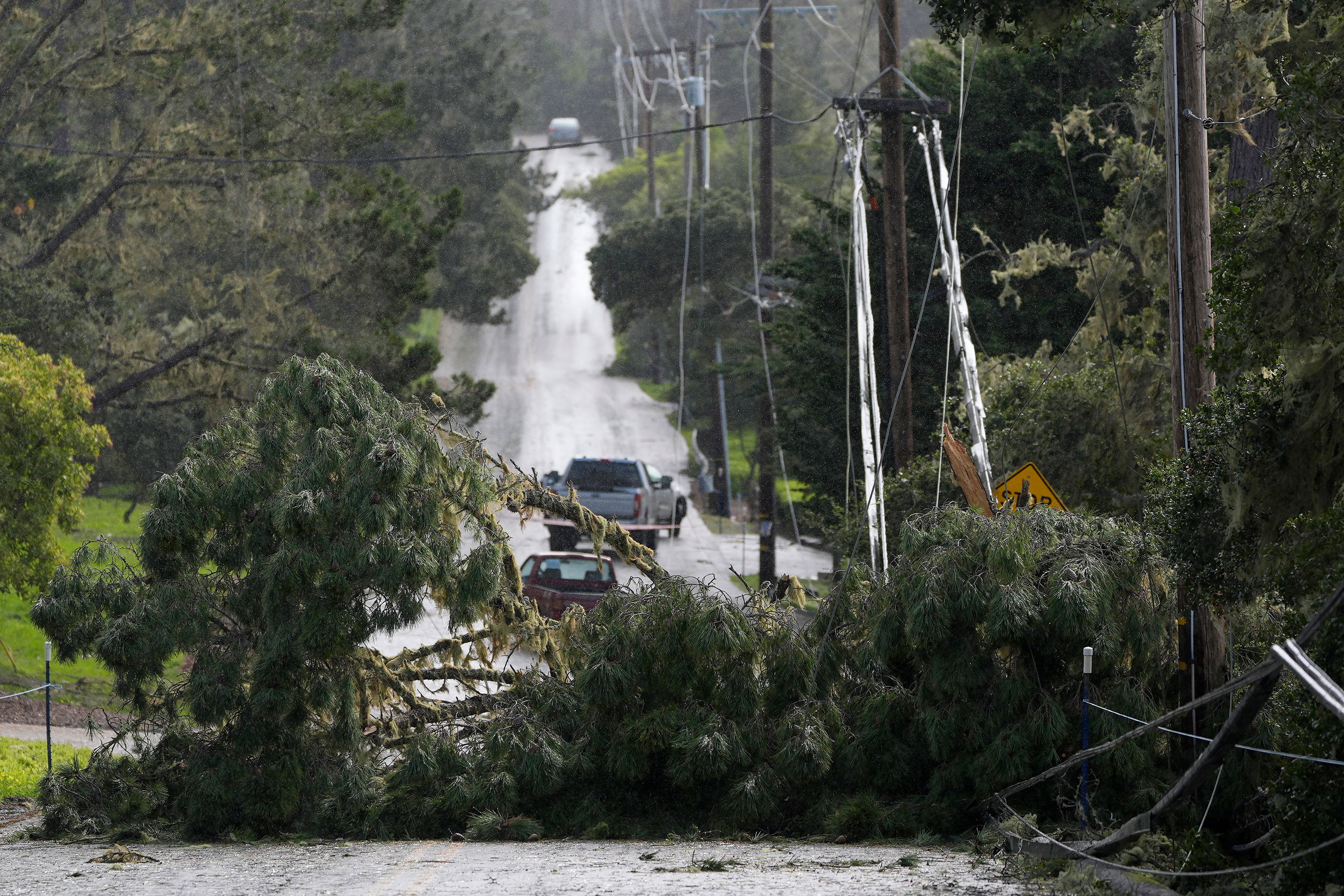 Fallen trees and power lines block a road in Pebble Beach, California, on Sunday. 