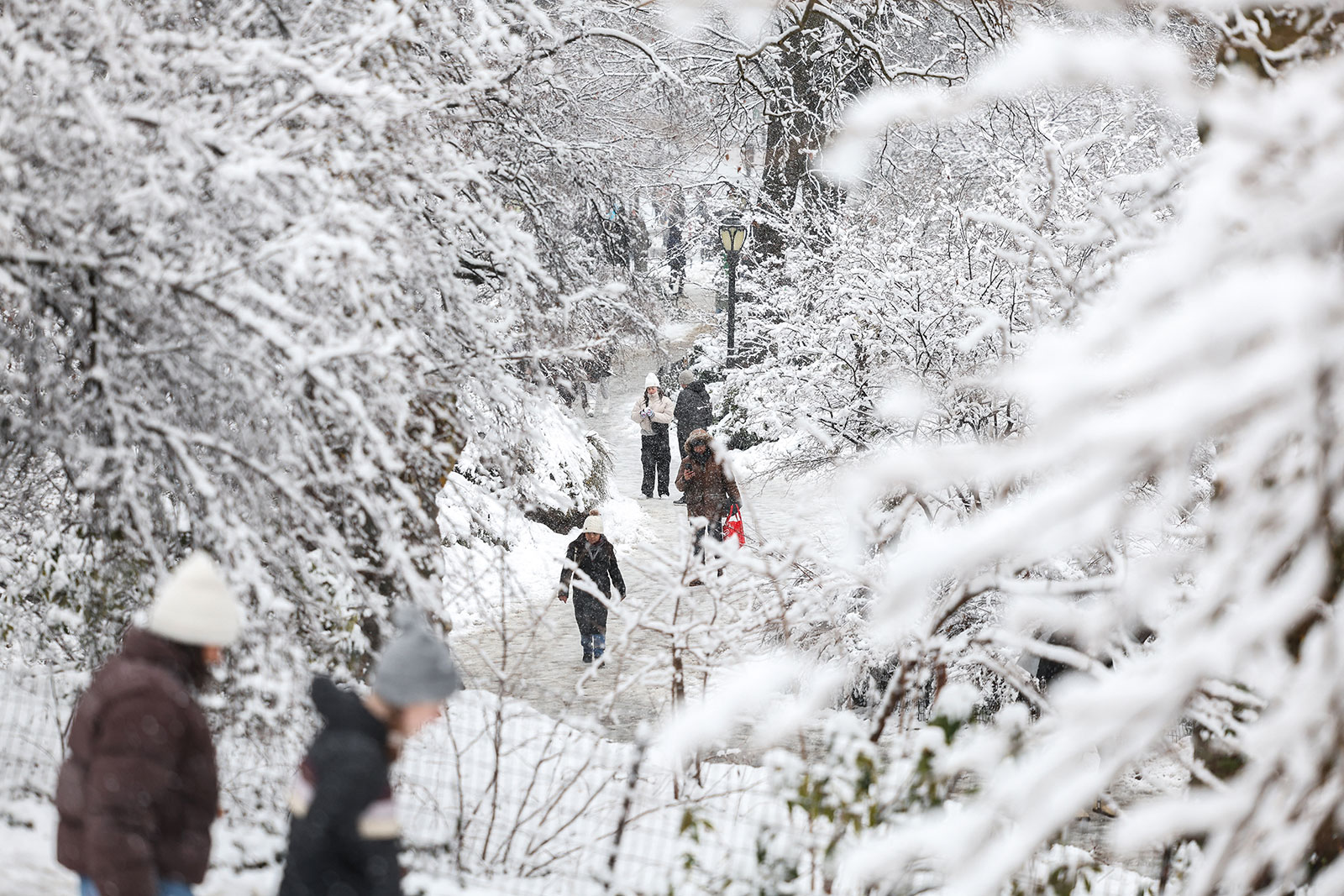 People walk through the falling snow in Central Park on Tuesday in New York.
