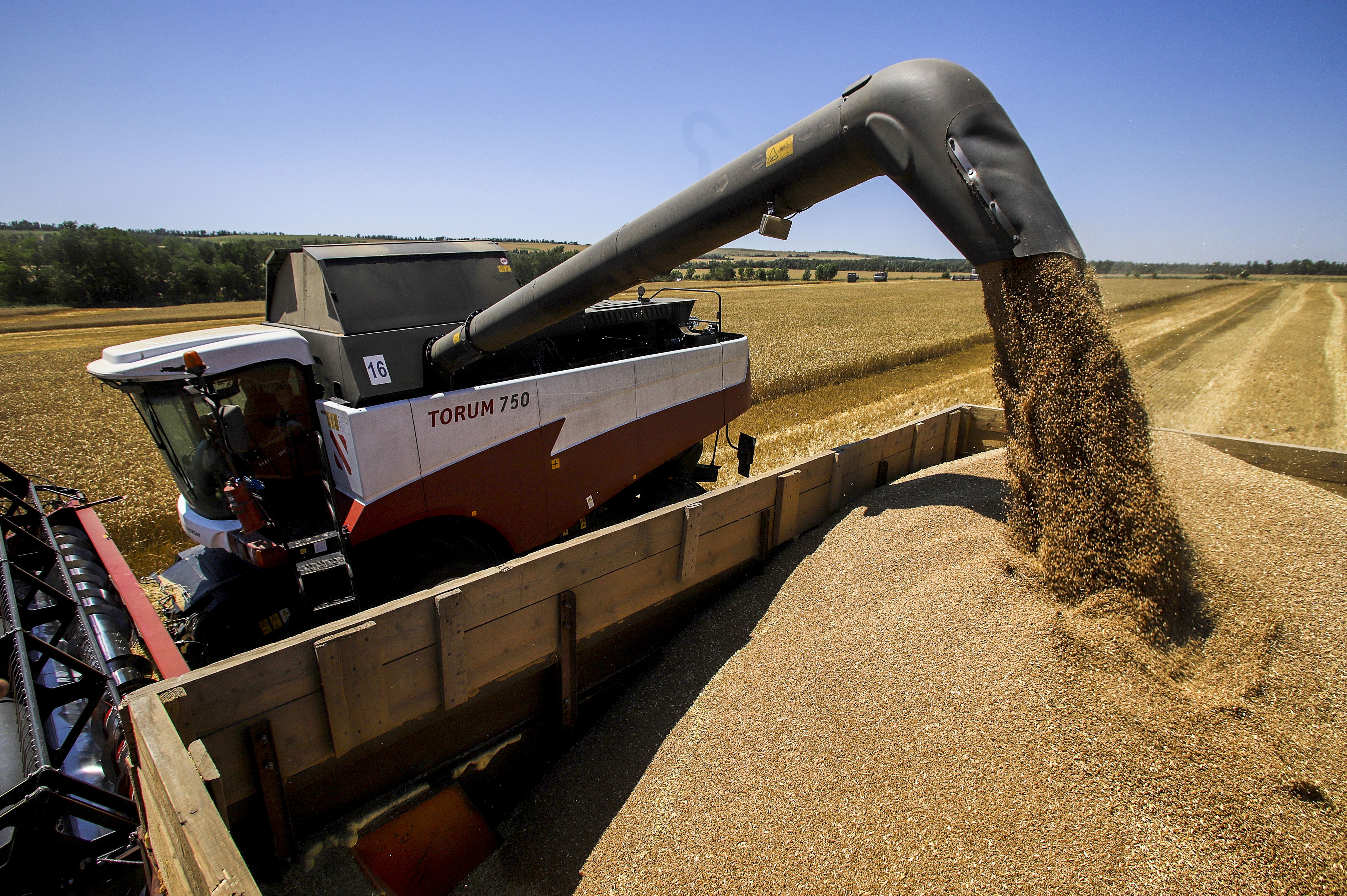 Farmers harvest grain in Stavropol, Russia, on July 16. 