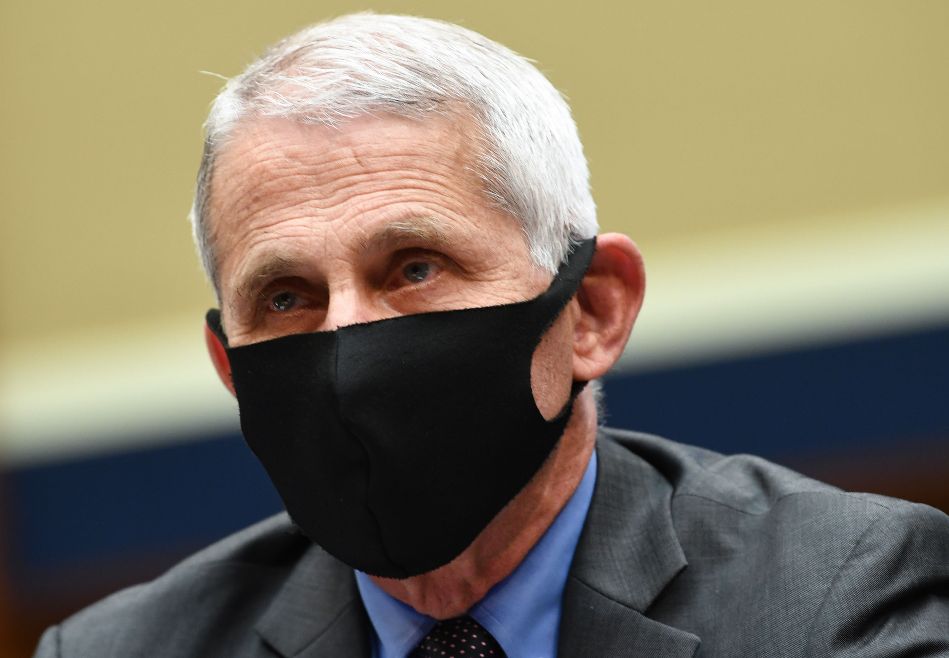 Dr. Anthony Fauci, the United States' top infectious disease expert, testifies at a hearing in Washington, DC, on June 23.