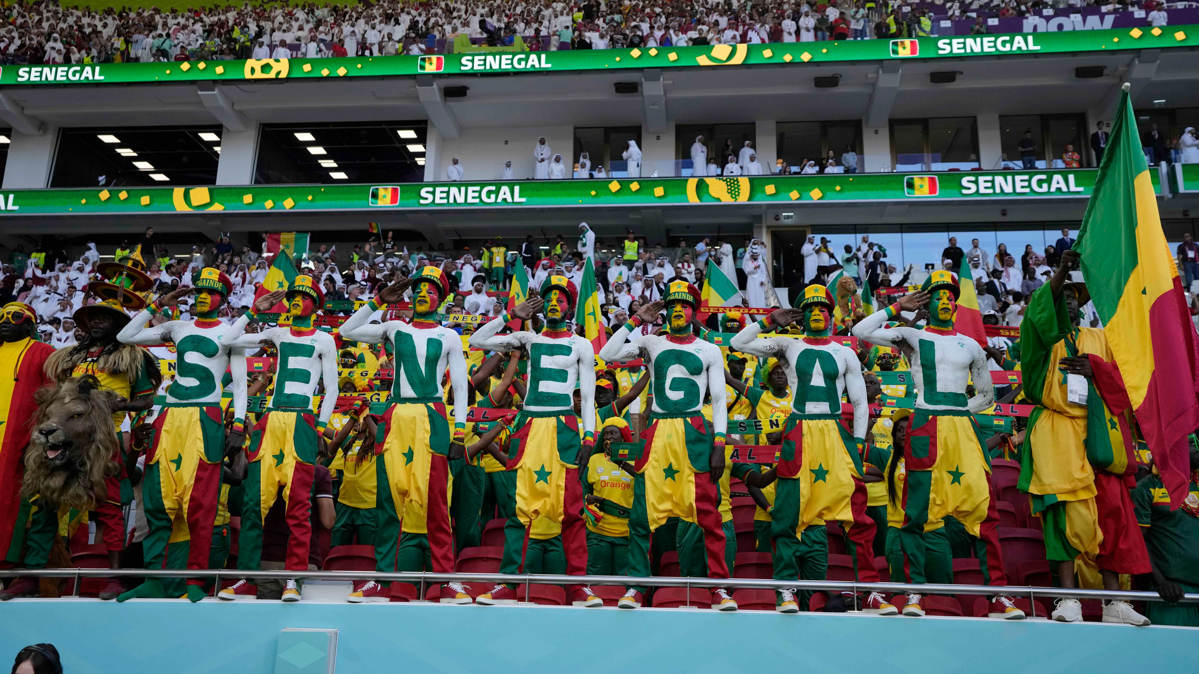 The 12e Gaindé – the now iconic row of fans with their shirts off and bodies painted, spelling out S-E-N-E-G-A-L – before Senegal's game against Qatar on Friday.