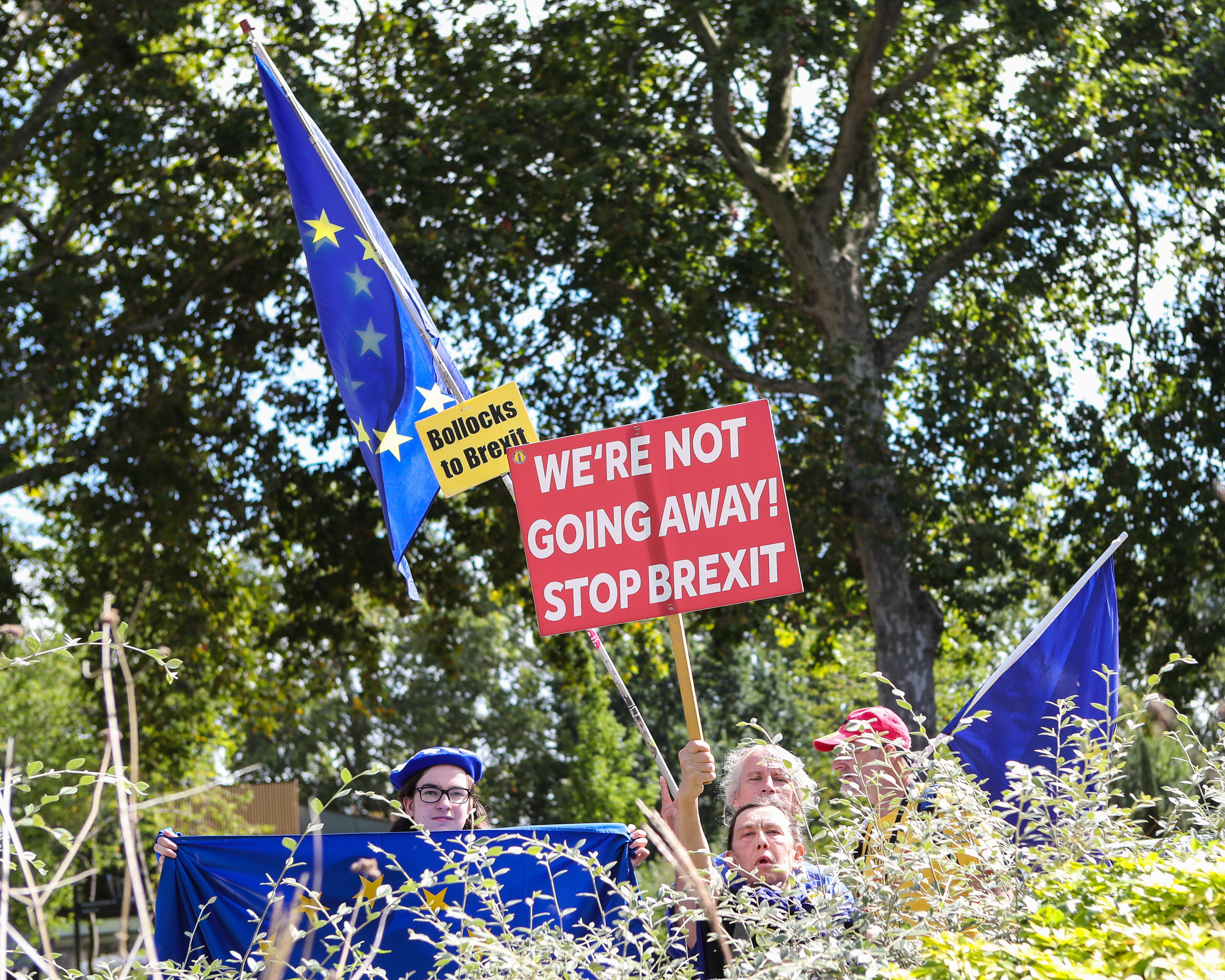 Protesters against Brexit and the governments request to prorogue Parliaments gather on College Green in London, England.