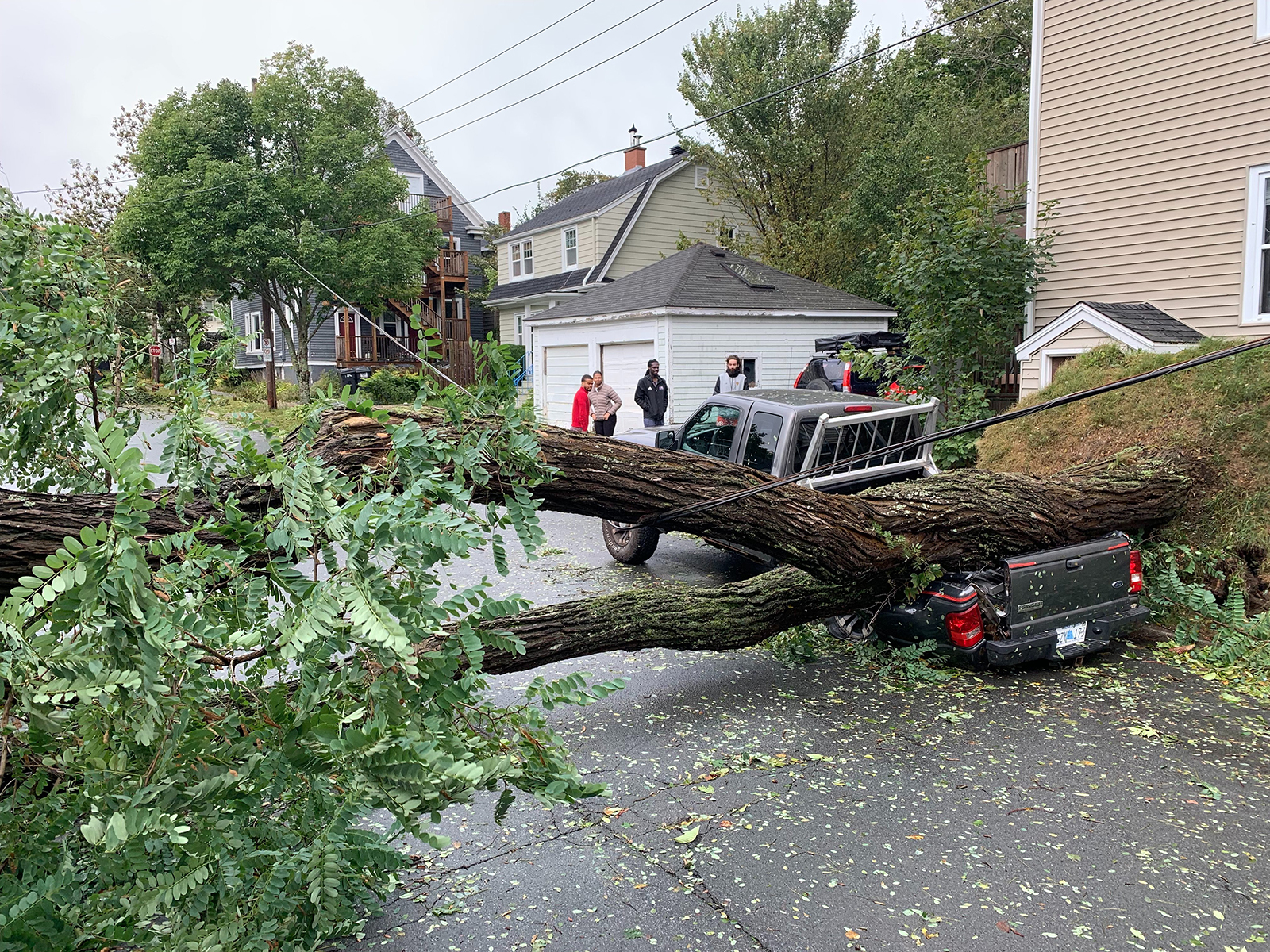 A downed tree smashed a truck in Nova Scotia.
