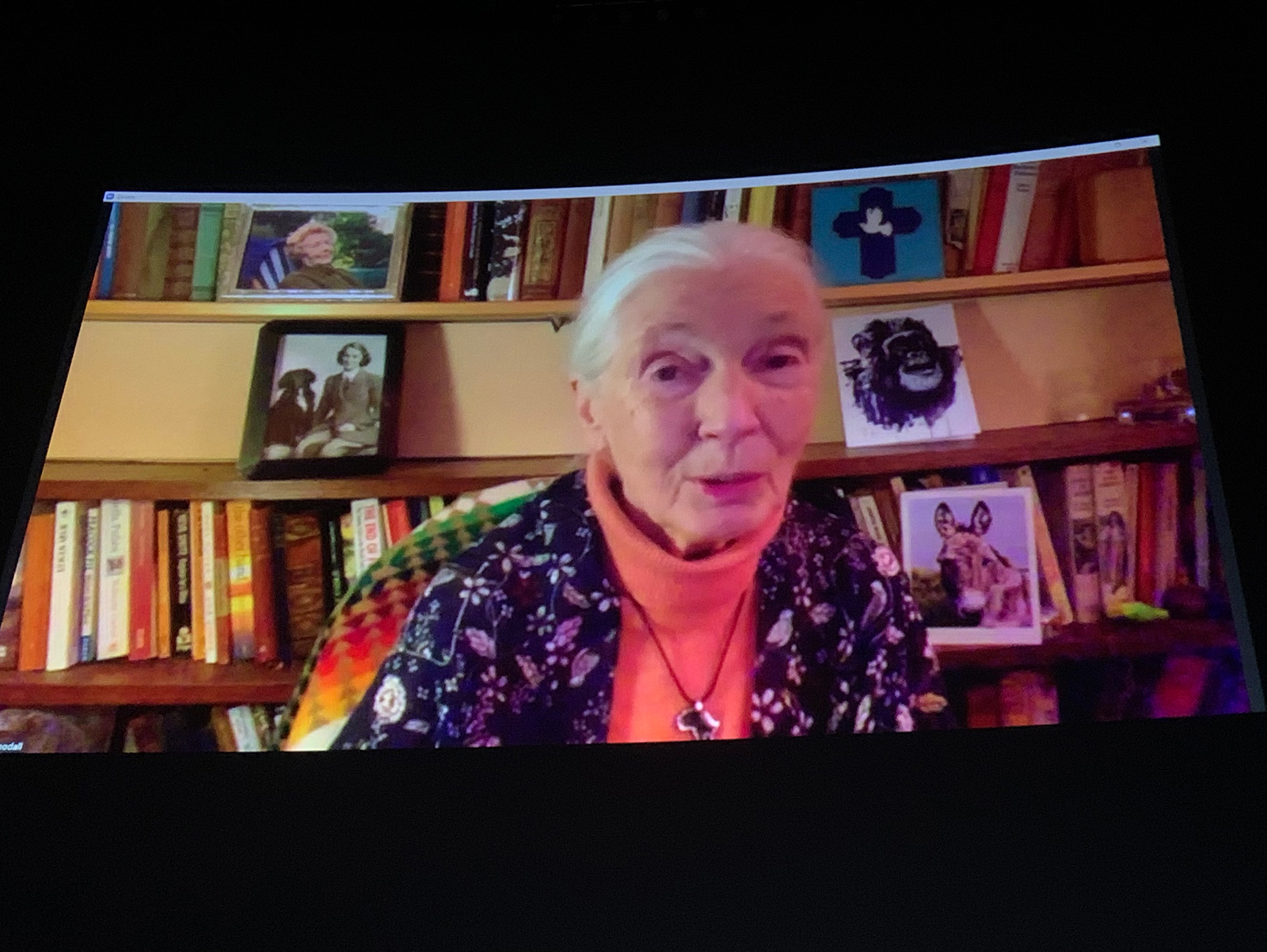 Jane Goodall speaking via Zoom at COP26.