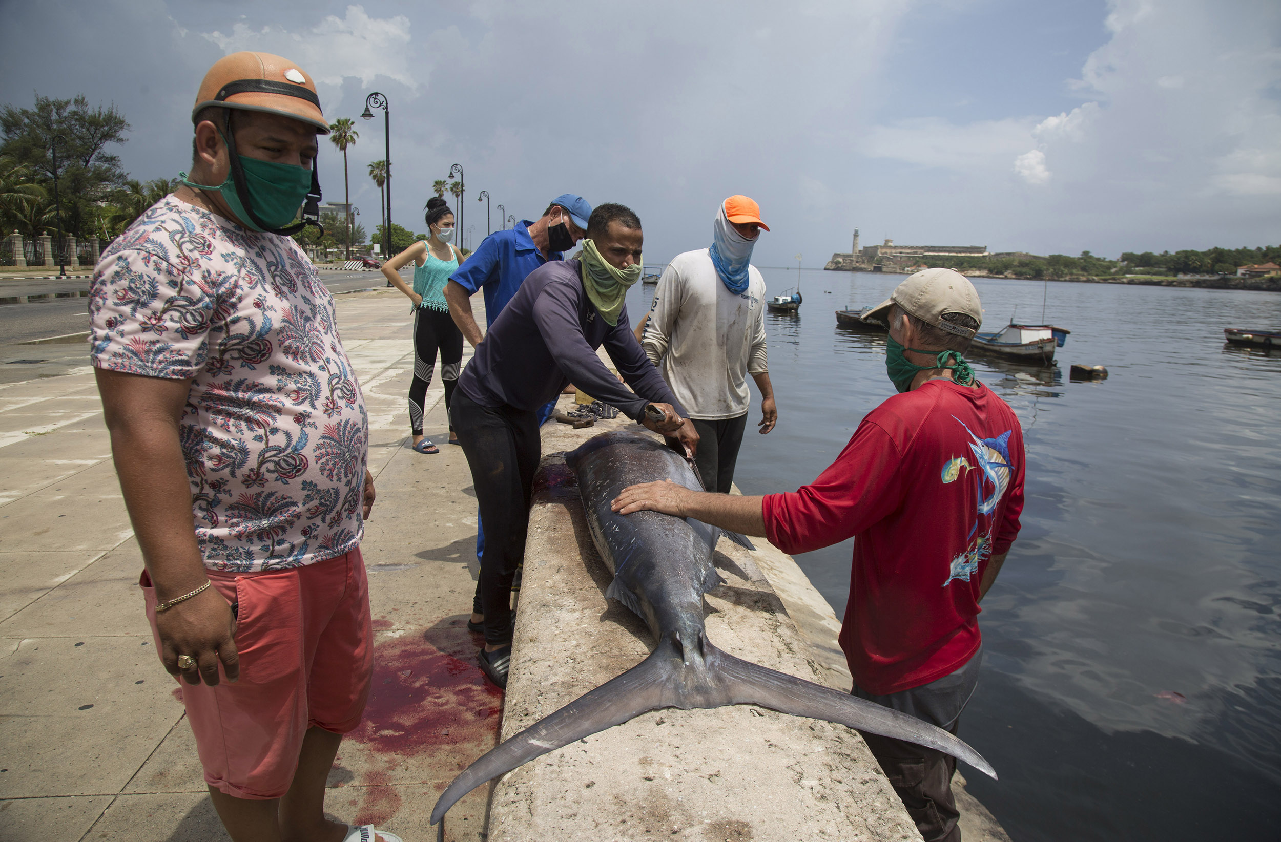 Fishermen wearing protective face masks clean a freshly caught fish while people line up to buy portions of the fish, in Havana, Cuba, on Saturday, June 27. 