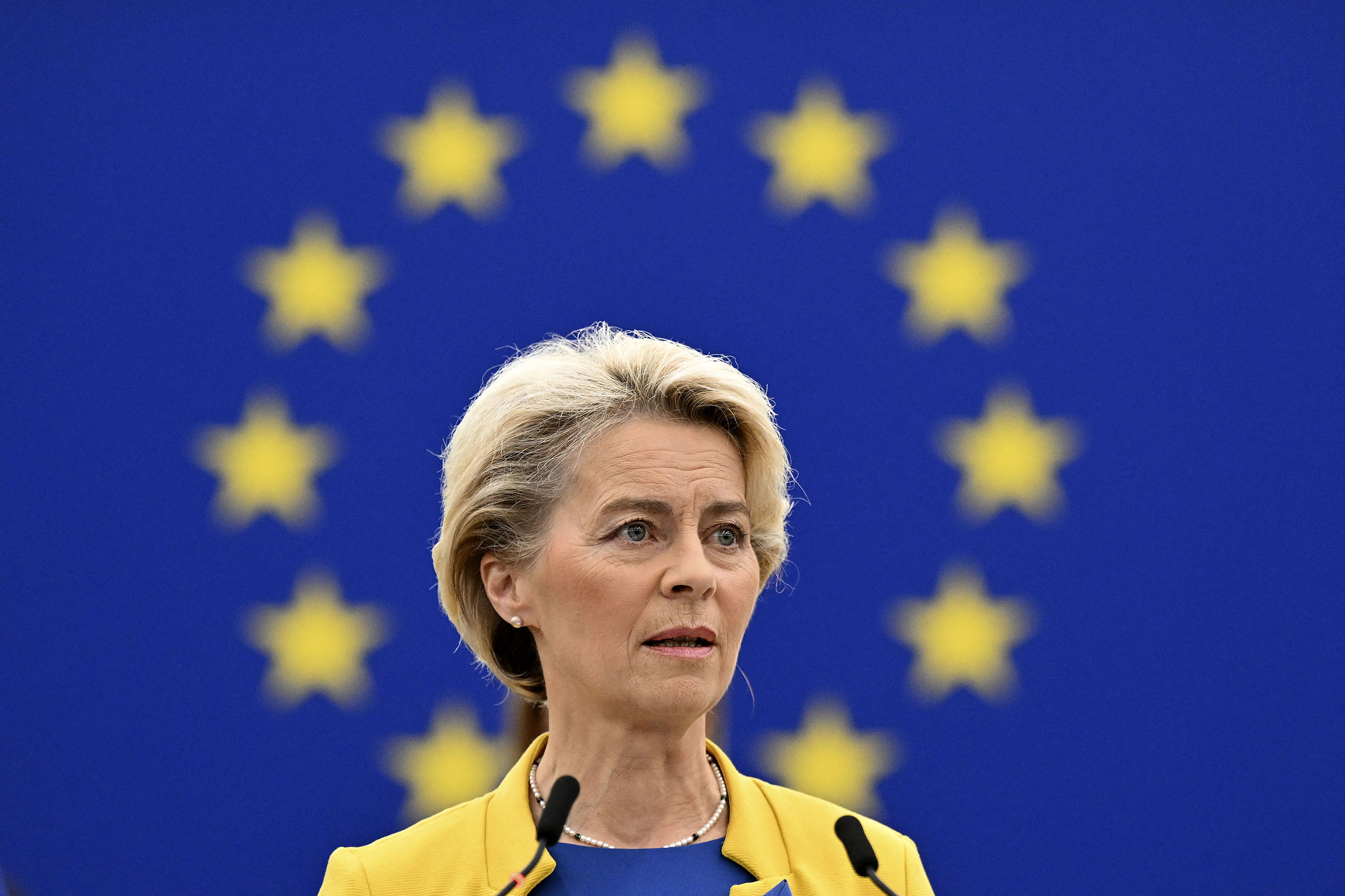 European Commission President Ursula von der Leyen delivers a speech in Strasbourg, France, on Wednesday.