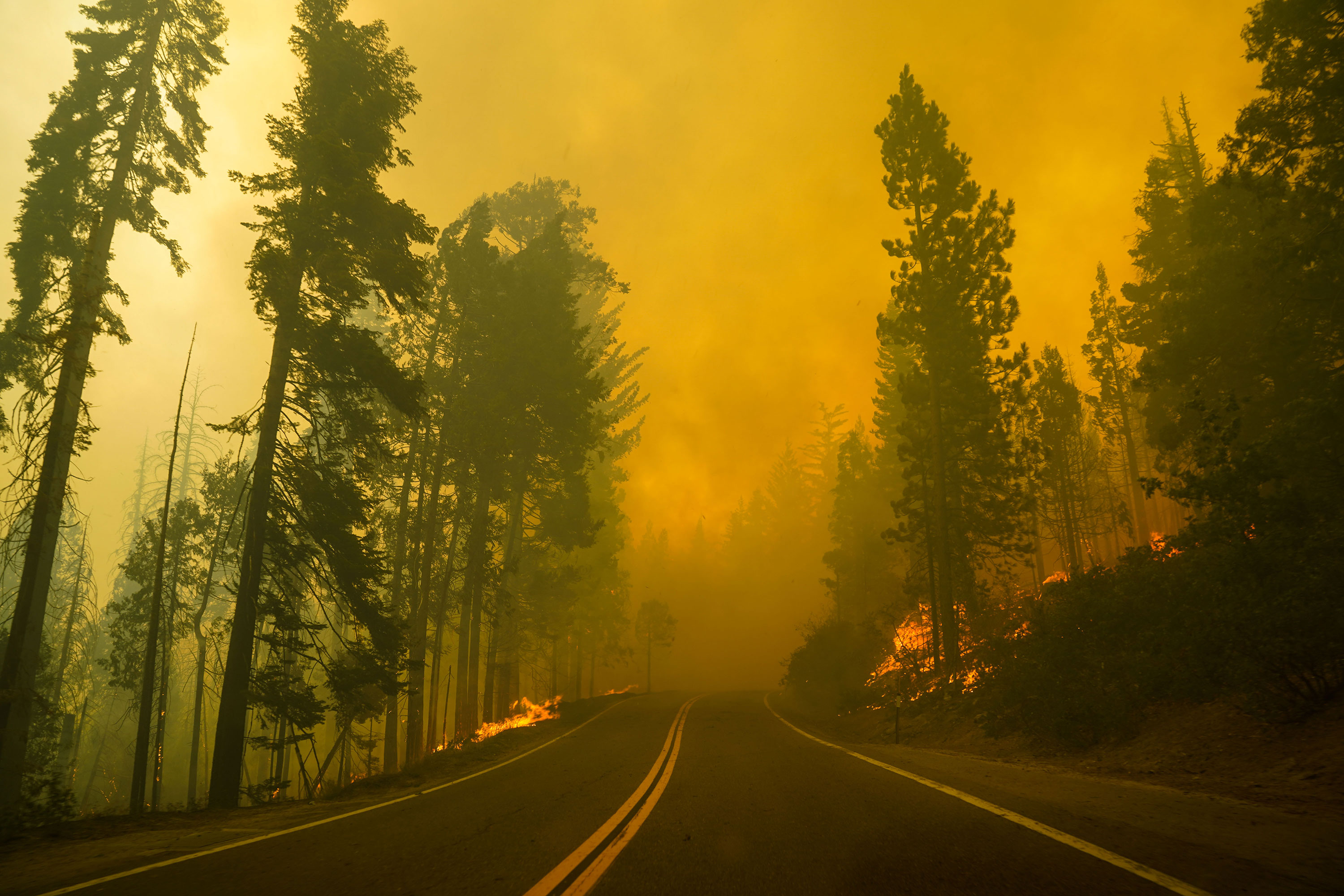 Flames from the Creek Fire are seen along a road just outside of Shaver Lake, California, in the Sierra National Forest on September 7.