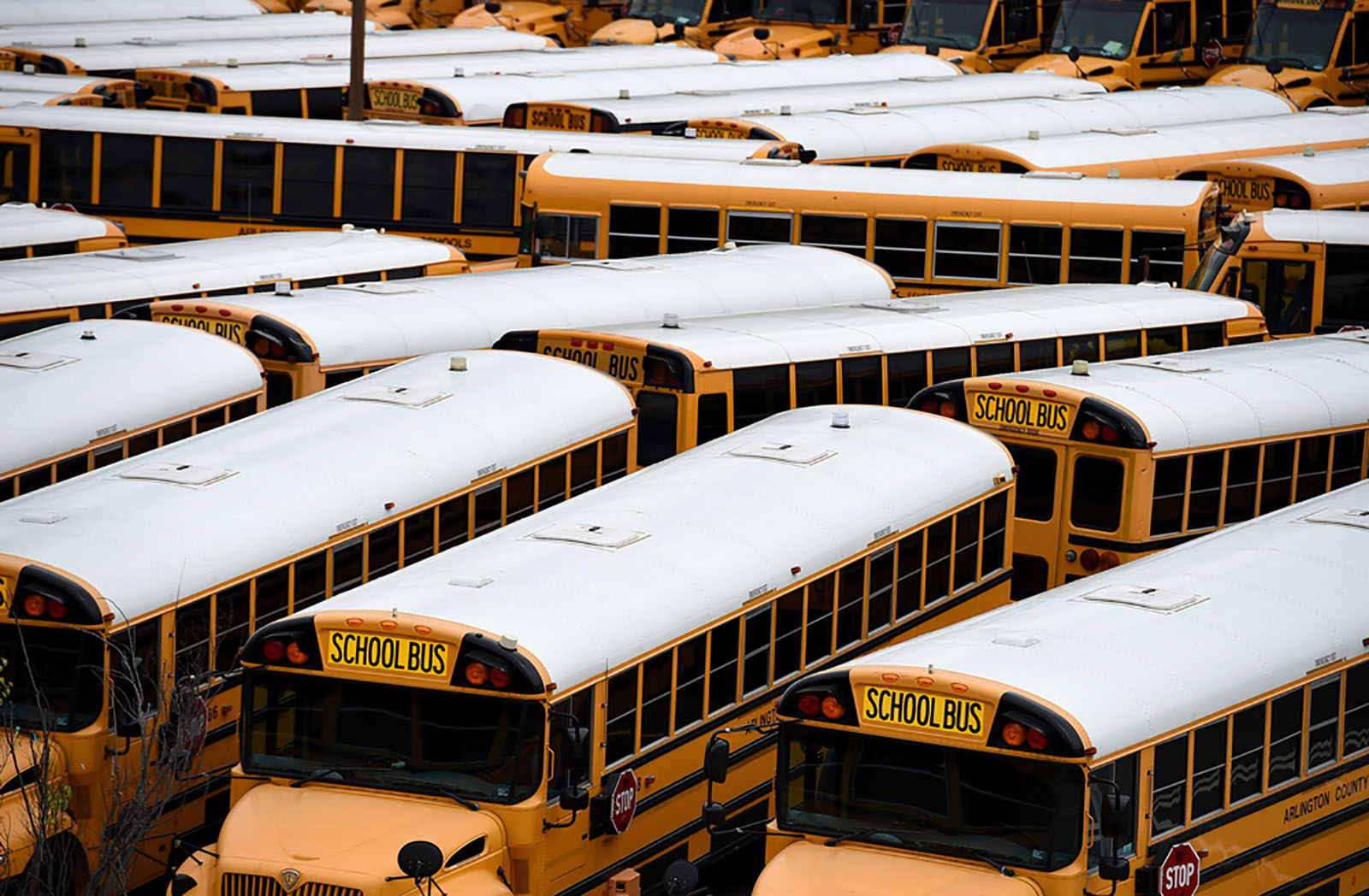 About 100 school buses are parked at the Arlington County Bus Depot, in response to the coronavirus outbreak on March 31, 2020 in Arlington, Virginia.