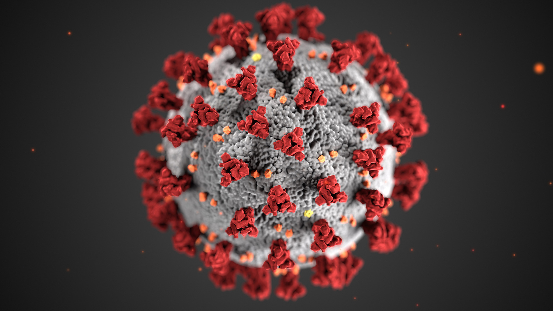 This illustration, created at the Centers for Disease Control and Prevention (CDC), reveals ultrastructural morphology exhibited by coronaviruses. 