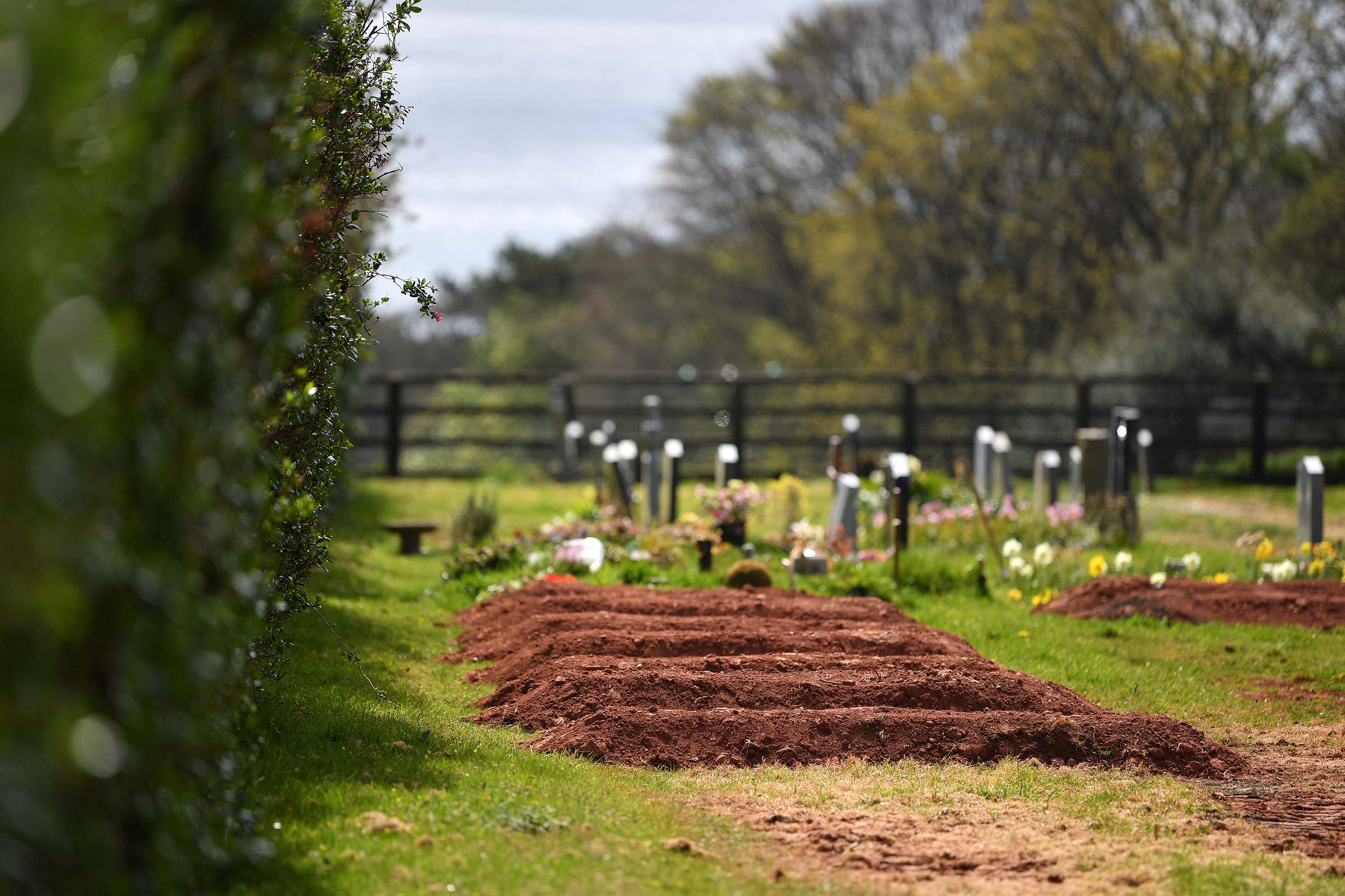 Pre-dug graves for Covid-1 deaths are seen in Maker Cemetery on April 14, 2020 in Maker, England. The Coronavirus (COVID-19) pandemic has spread to many countries across the world, claiming over 115,000 lives and infecting over 1. 9 million people. (Photo by Dan Mullan/Getty Images)