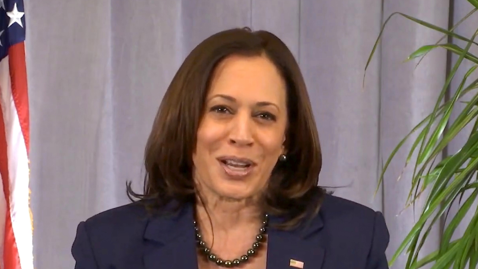 In this screengrab, Vice Presient-Elect Kamala Harris speaks during the "We Are One" celebration hosted by the Biden Inaugural Committee on January 19.