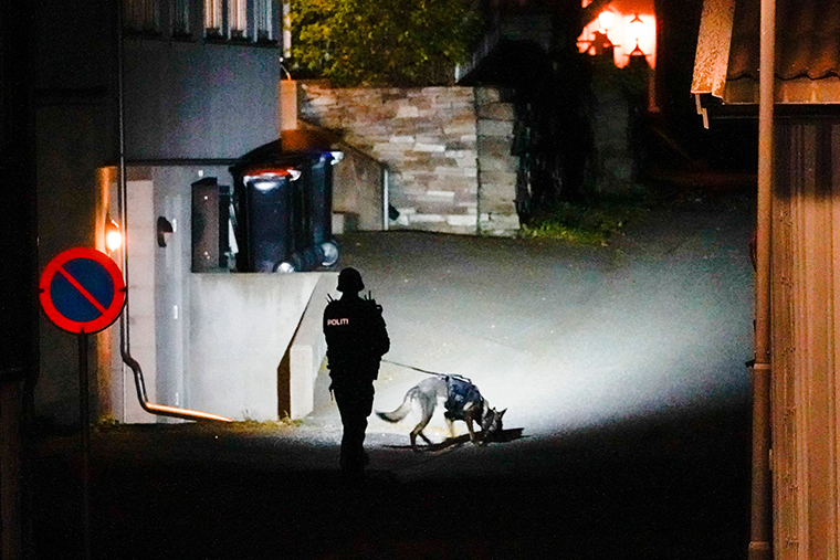 A police officer uses a sniffer dog at the scene of the investigation.