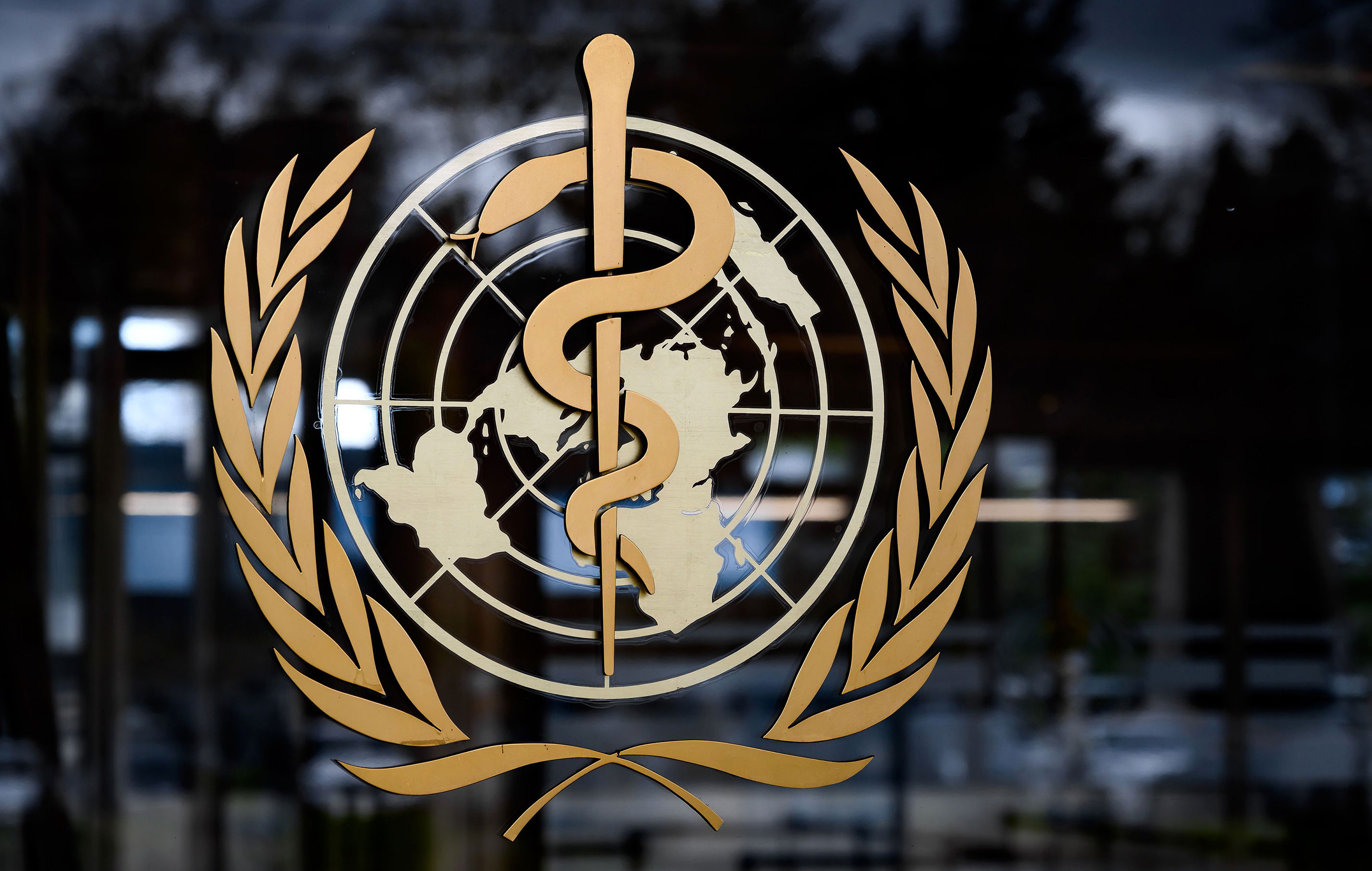 The World Health Organization logo is seen at their headquarters in Geneva, Switzerland on March 9.