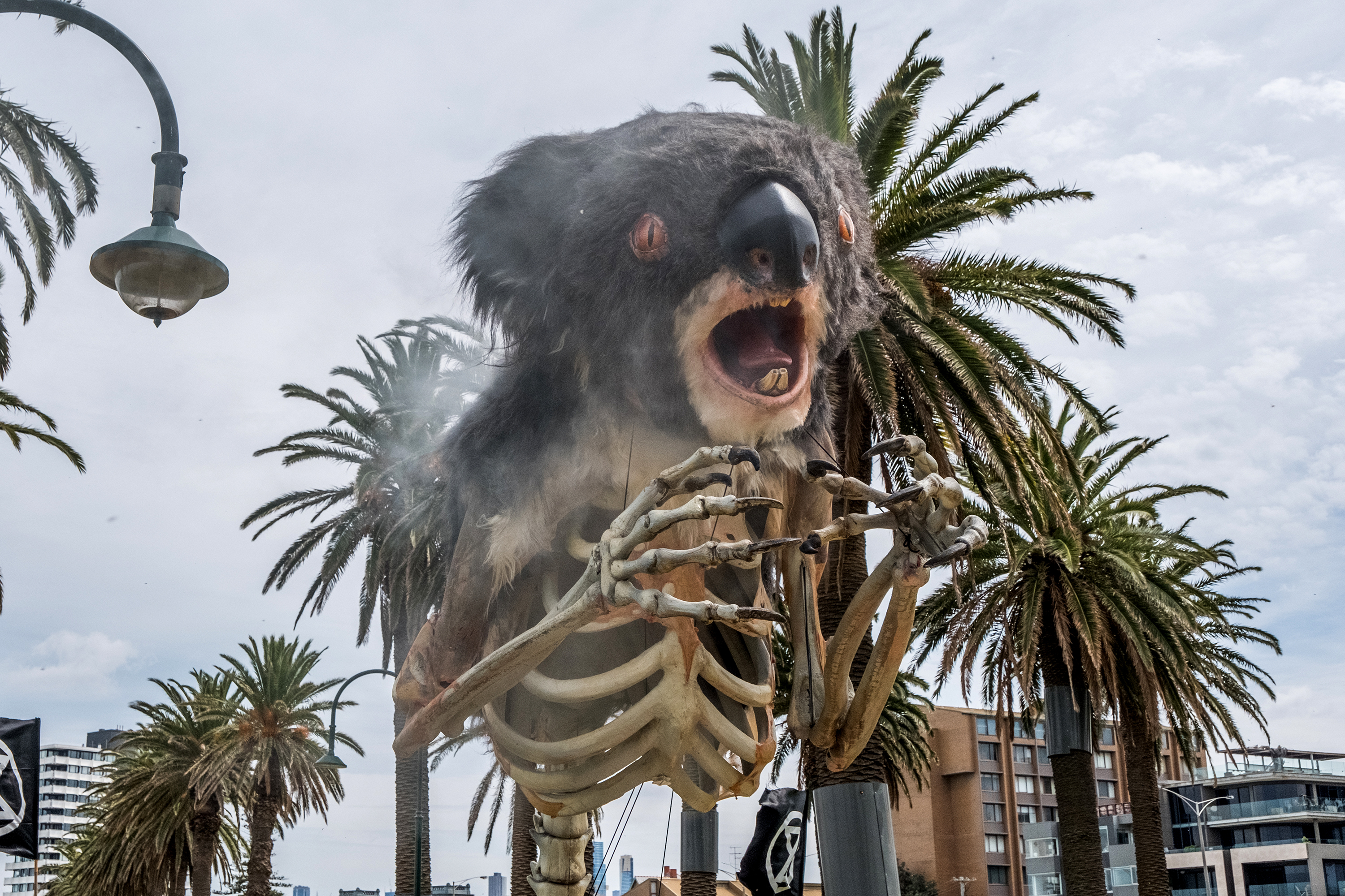 A large puppet of a burning Koala is seen used by extinction rebellion protestors as they conducted a mock funeral on November 6, in Melbourne, Australia. 