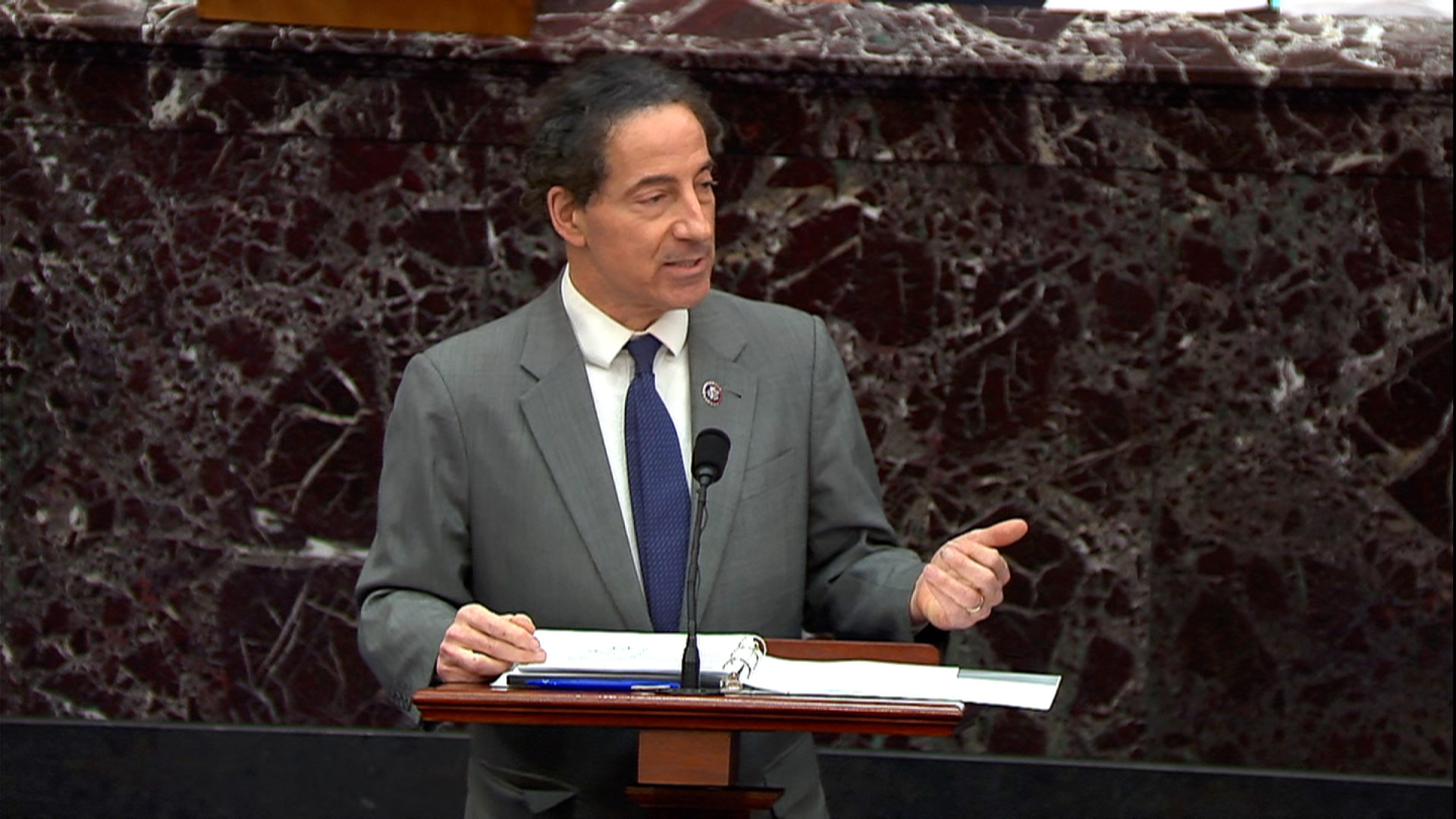 jamie raskin impeachment hearing