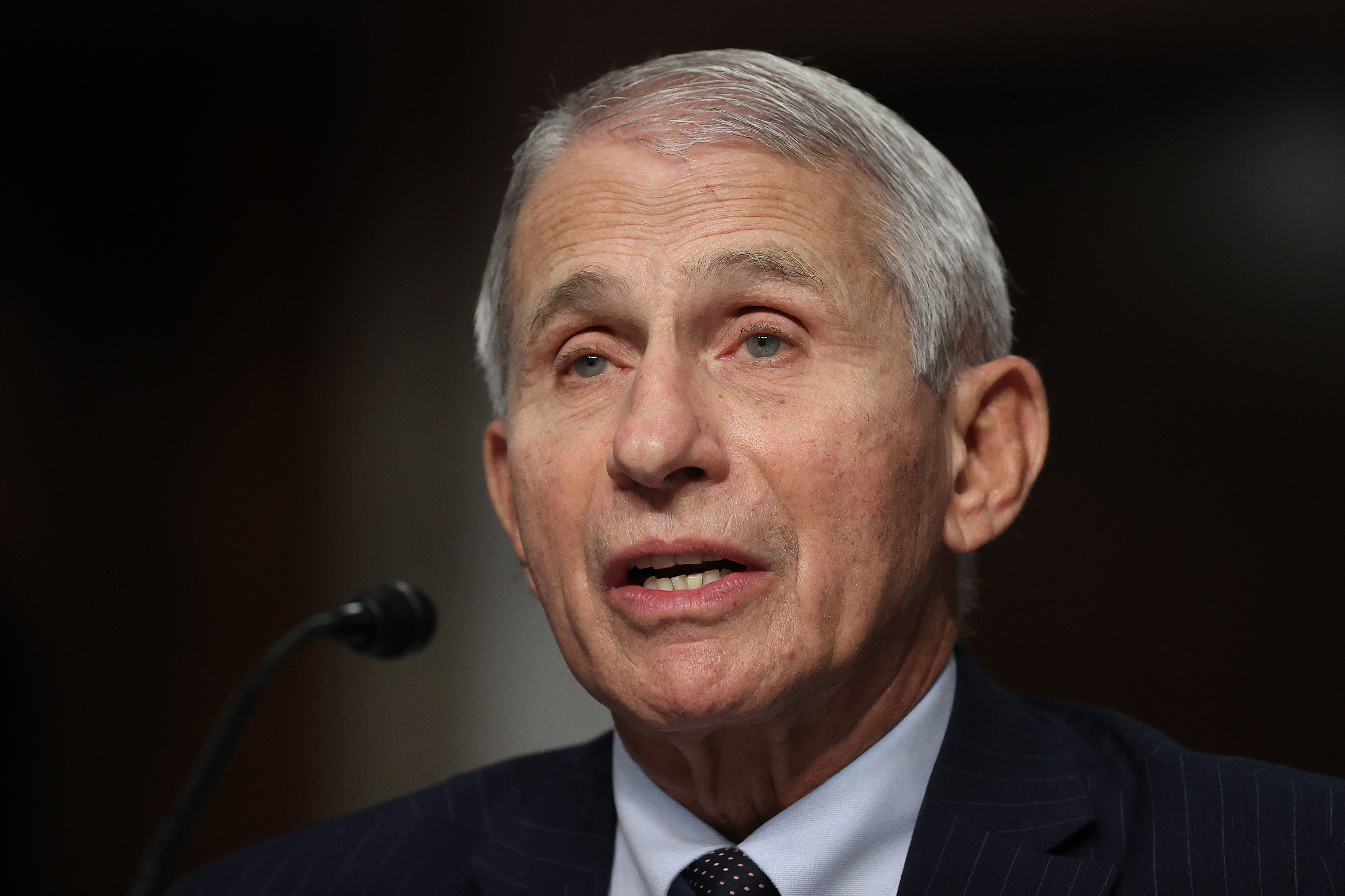 Dr. Anthony Fauci, director of the National Institute of Allergy and Infectious Diseases, testifies in Washington, DC, on November 4.