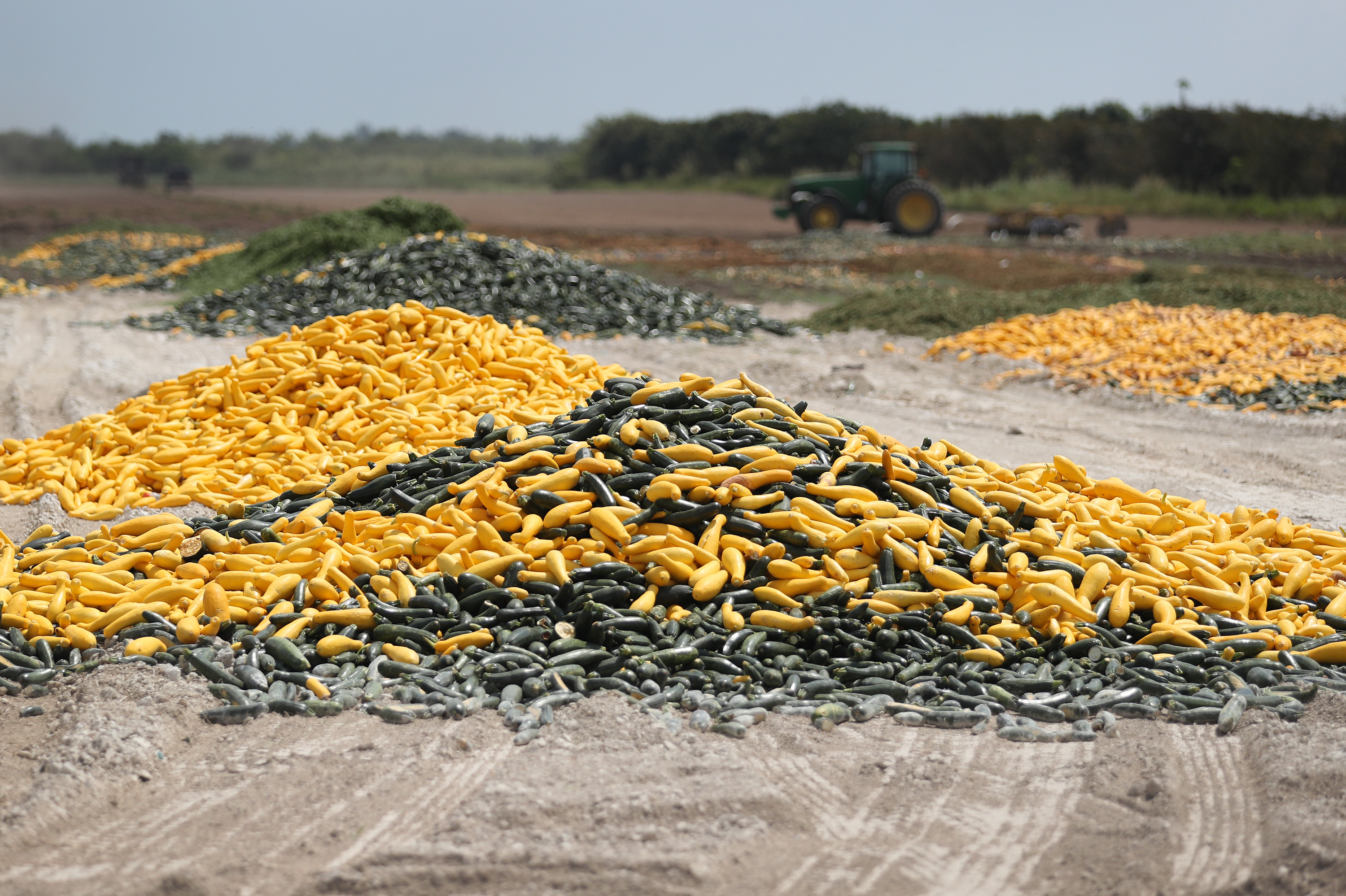 A pile of zucchini and squash is seen after it was discarded by a farmer in Florida City, Florida, on April 1.
