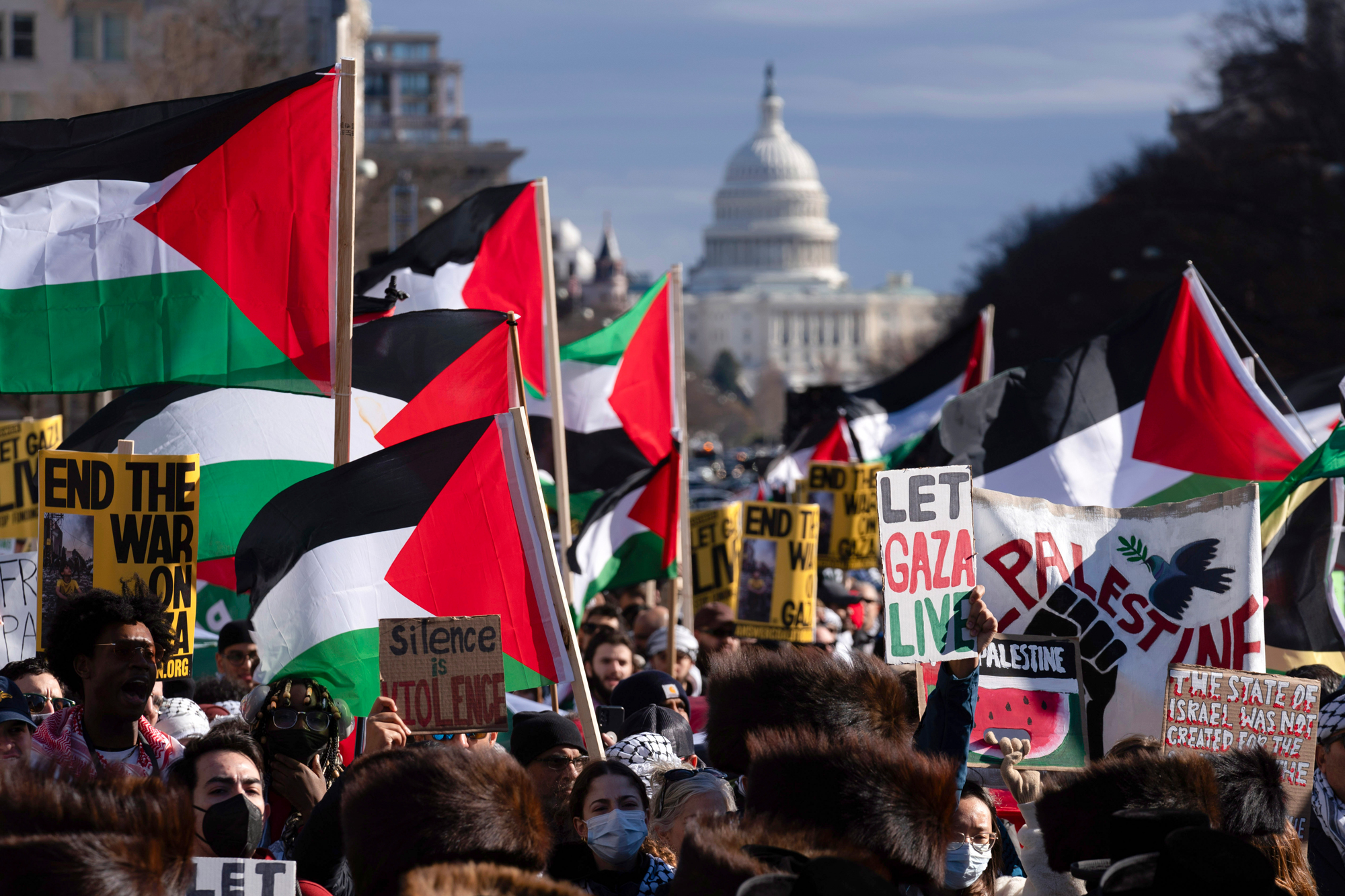 With the US Capitol in the background, demonstrators rally during the March on Washington for Gaza at Freedom Plaza in Washington, DC, on January 13.